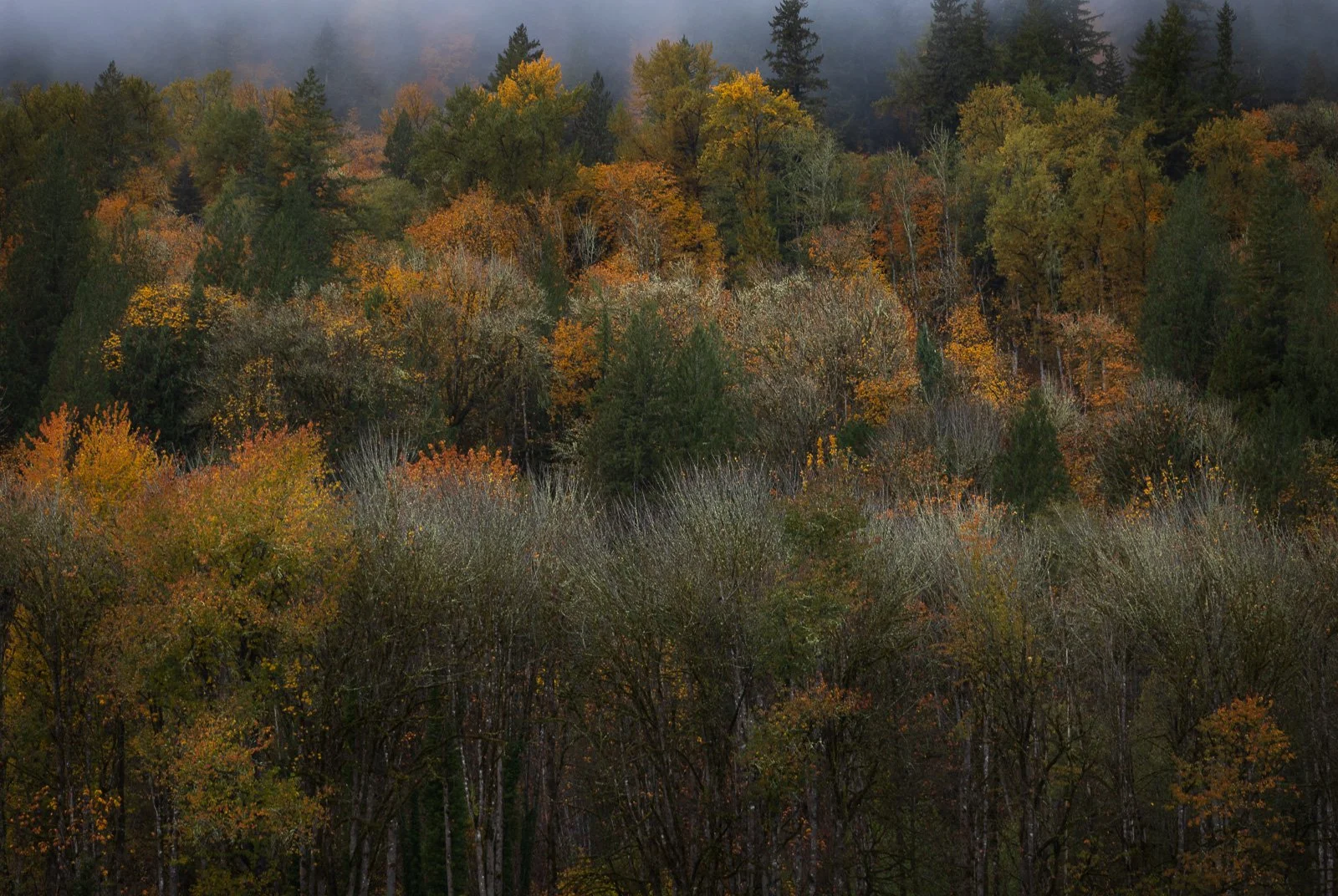2021_10_23 - North Cascades Day Trip_00217-PsEdit-2.jpg