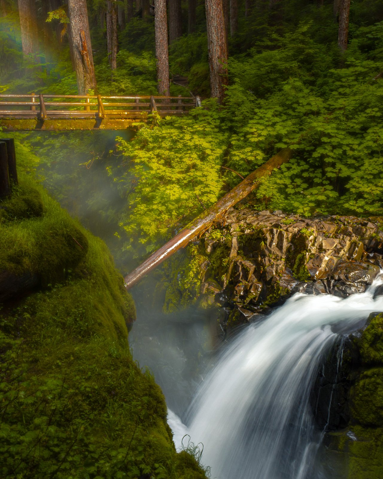2018_07_08 - Olympic Peninsula Camping Trip_01154-PsEdit-2.jpg