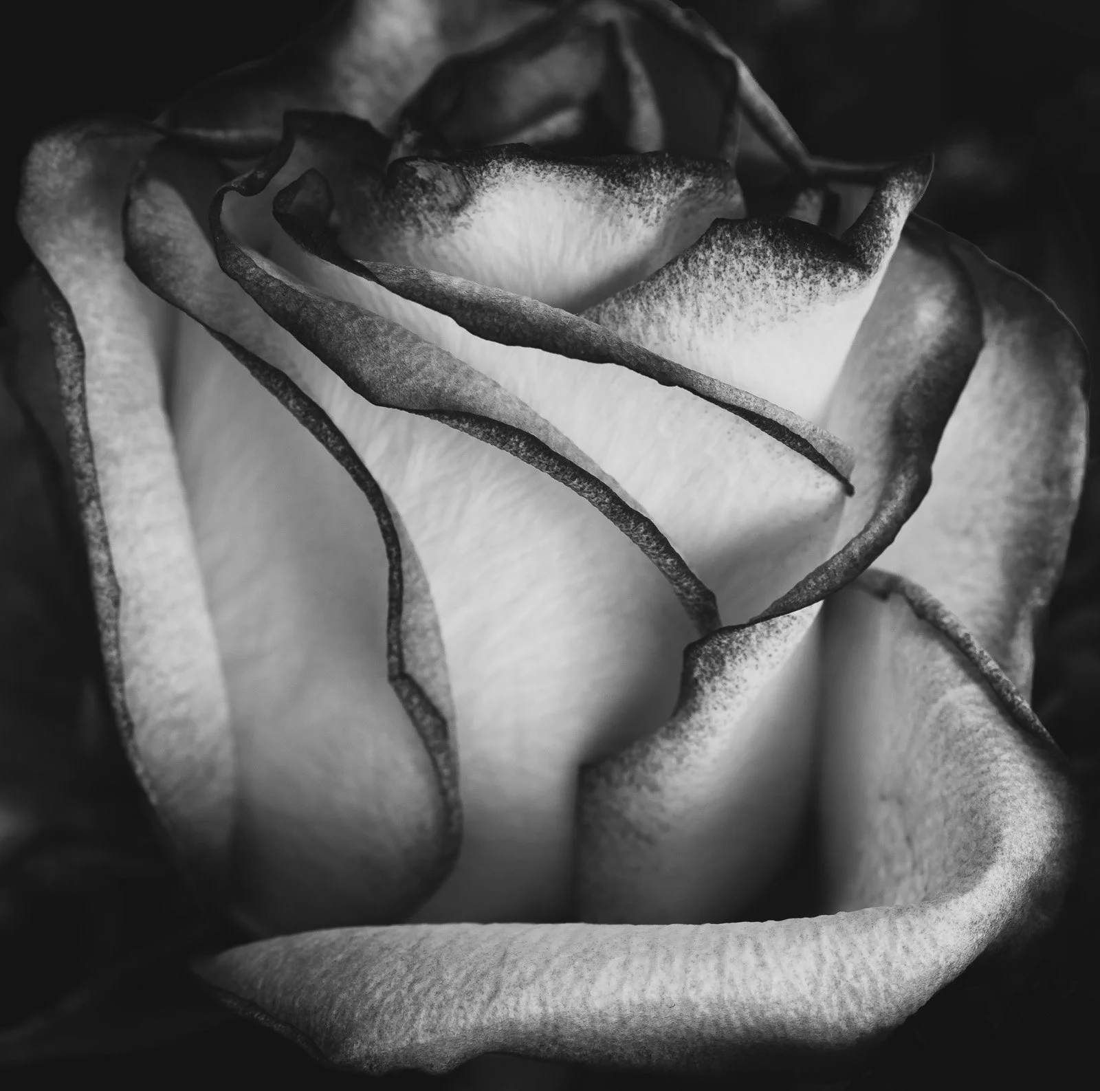 2021_04_26 - Des Moines House_00744.jpg