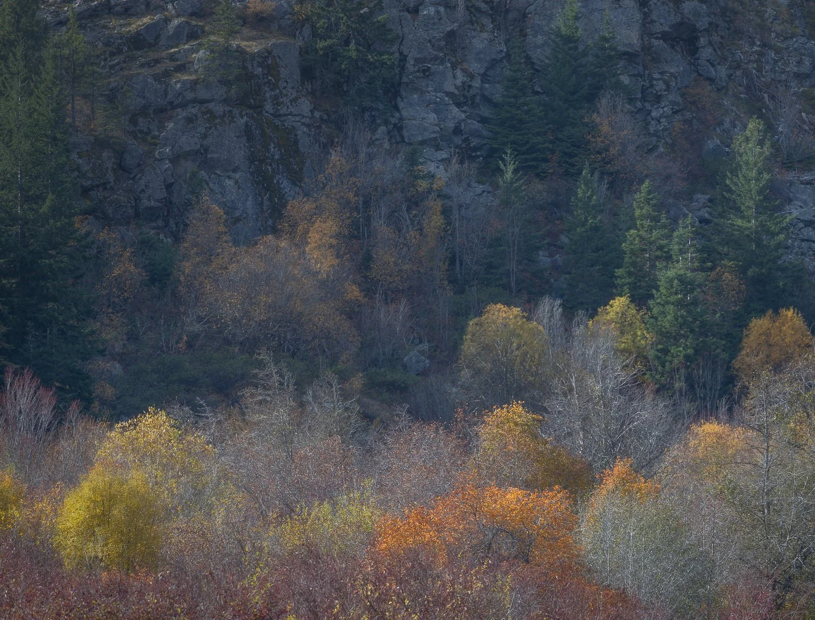 2024_10_10 - Day Trip to Leavenworth_274-Edit.jpg