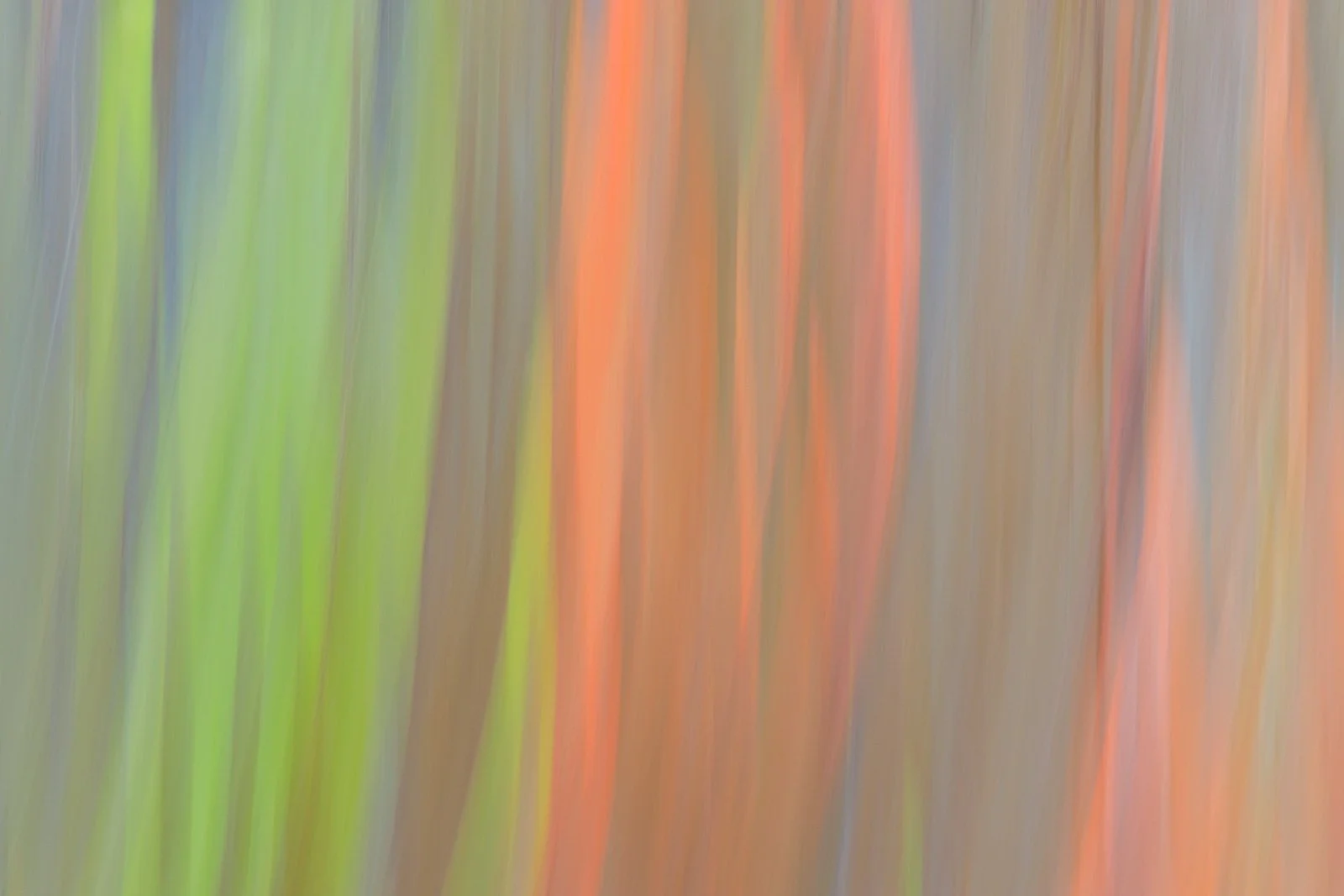 2022_05_10 - Kauai Vacation_04191-2.jpg