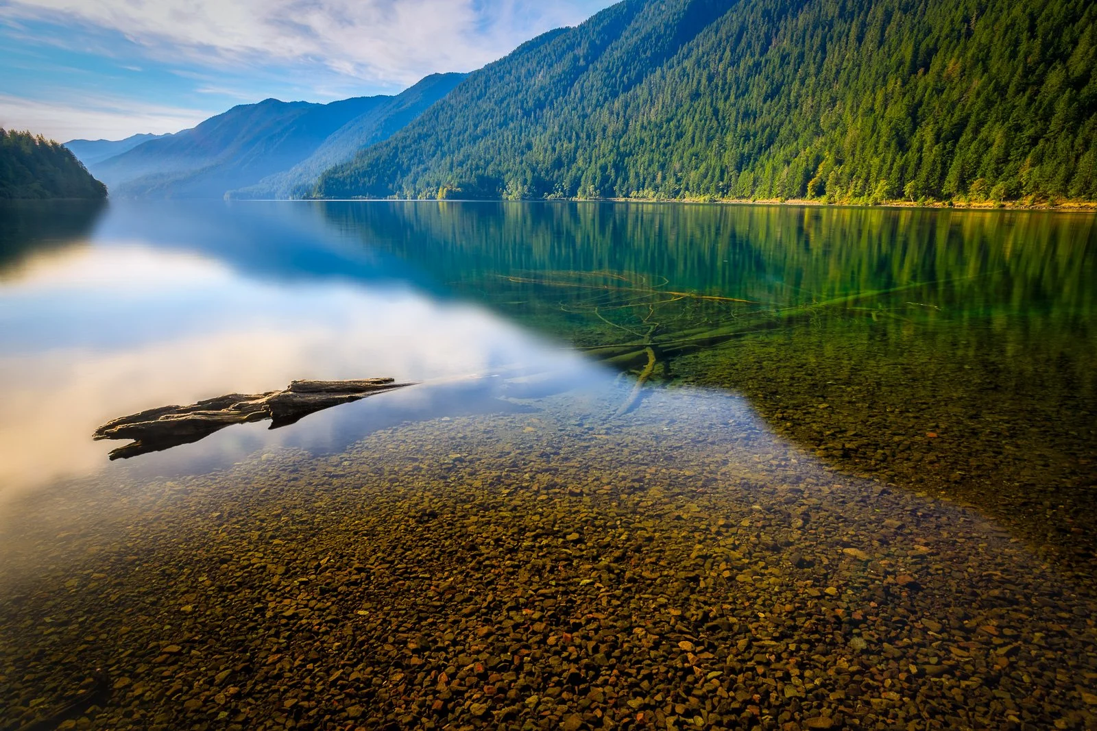 Crystal-clear mountain lake reflecting evergreen forest and blue sky with submerged logs near shoreline, Lake Crescent, Olympic National Park landscape
