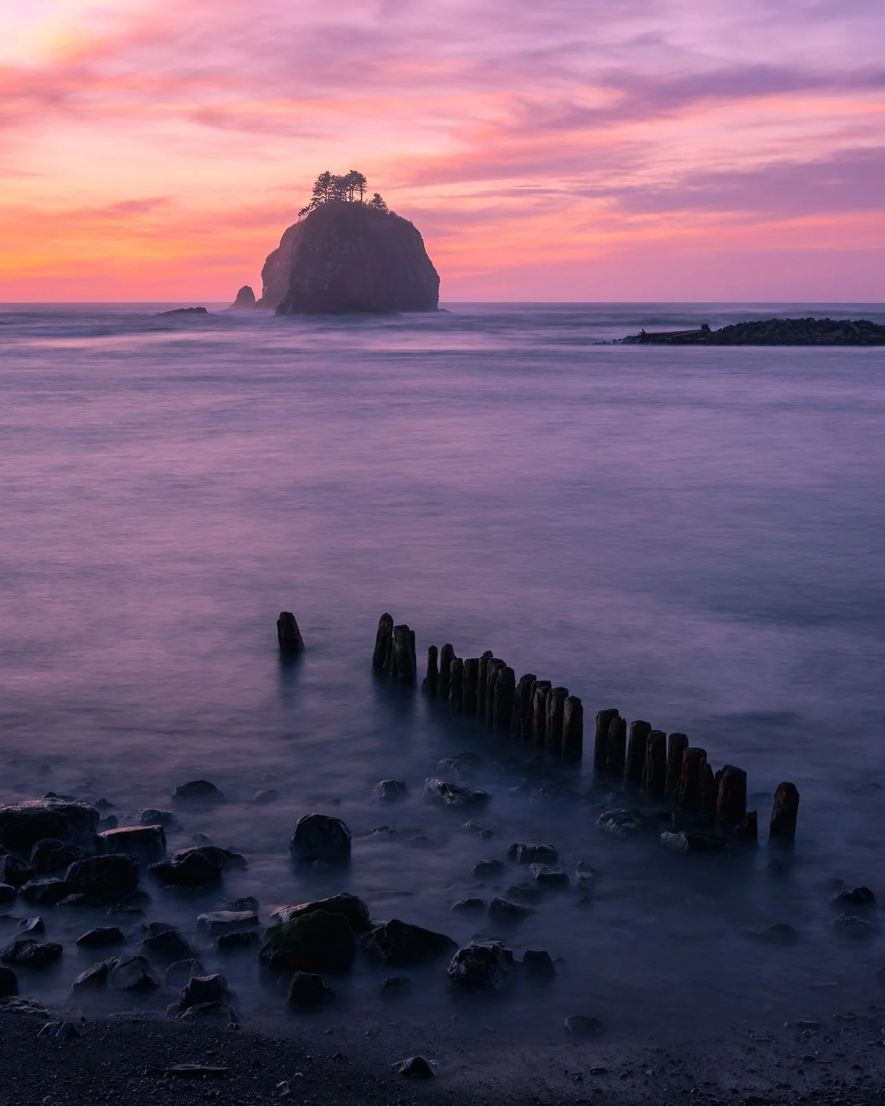 2022_01_23 - Day Trip to Lake Quinault and First Beach La Push_00258-2.jpg