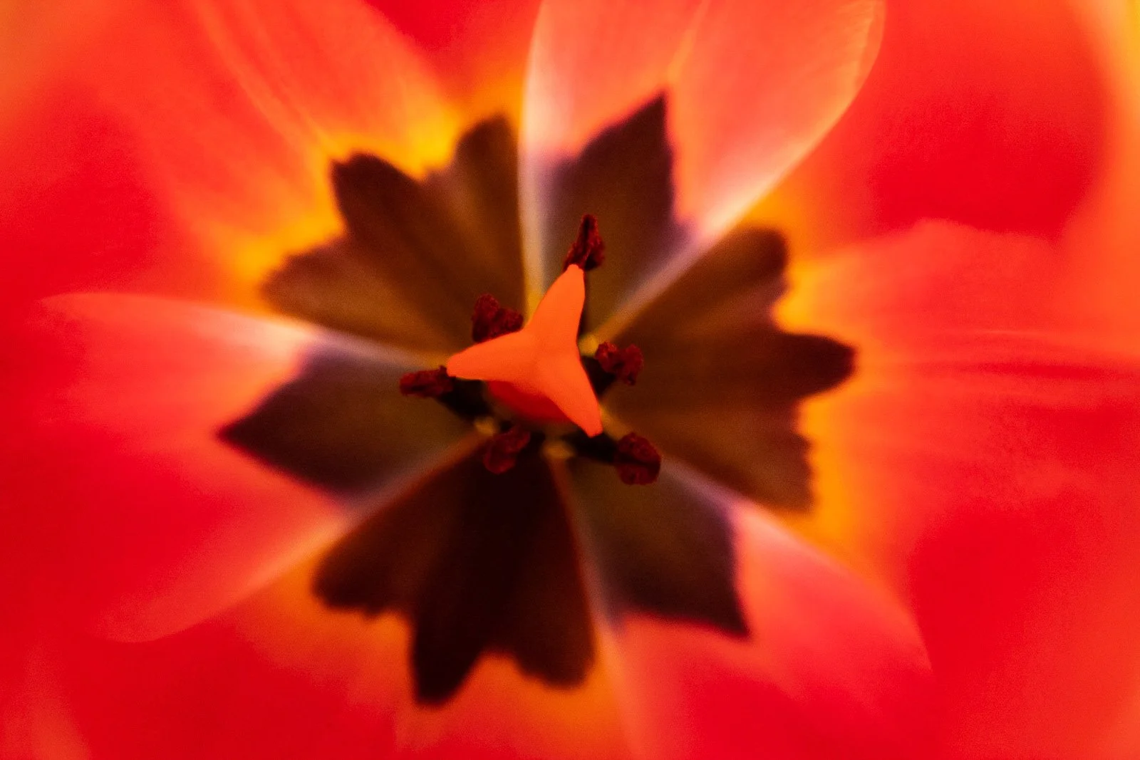 2019_04_10 - PBL Photography Social Media Posts_00275.jpg