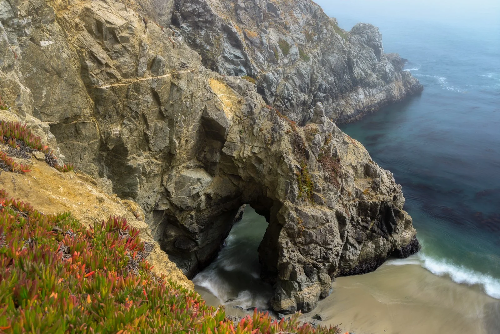 Rocky coastal cliffs with a natural arch opening to turquoise water below, surrounded by succulents and ocean mist along the northern California coastline