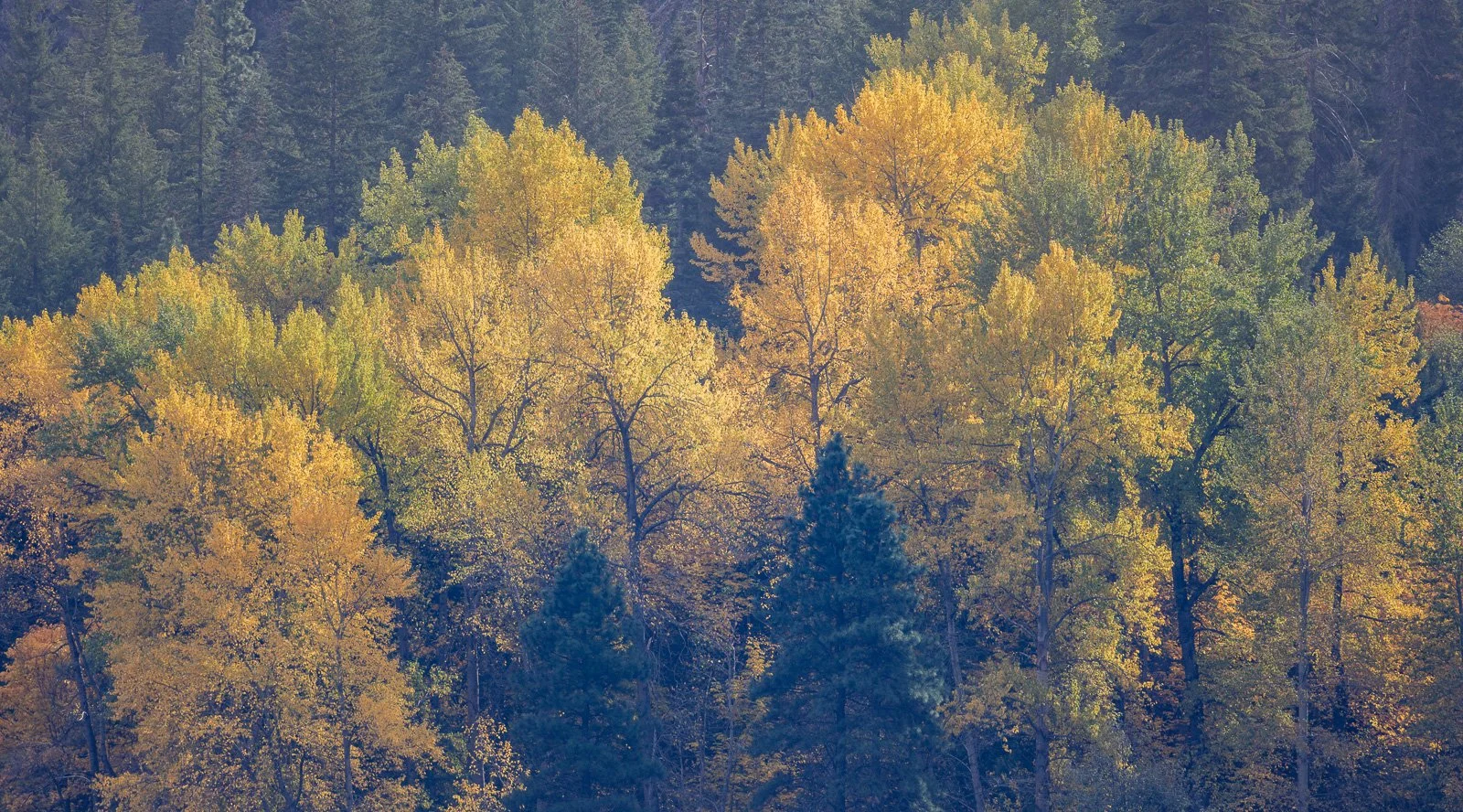 2024_10_10 - Day Trip to Leavenworth_468-Edit.jpg