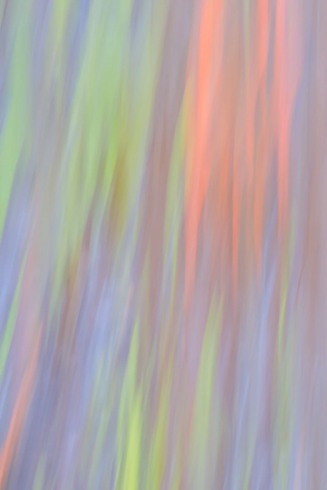 2022_05_10 - Kauai Vacation_04184-2.jpg