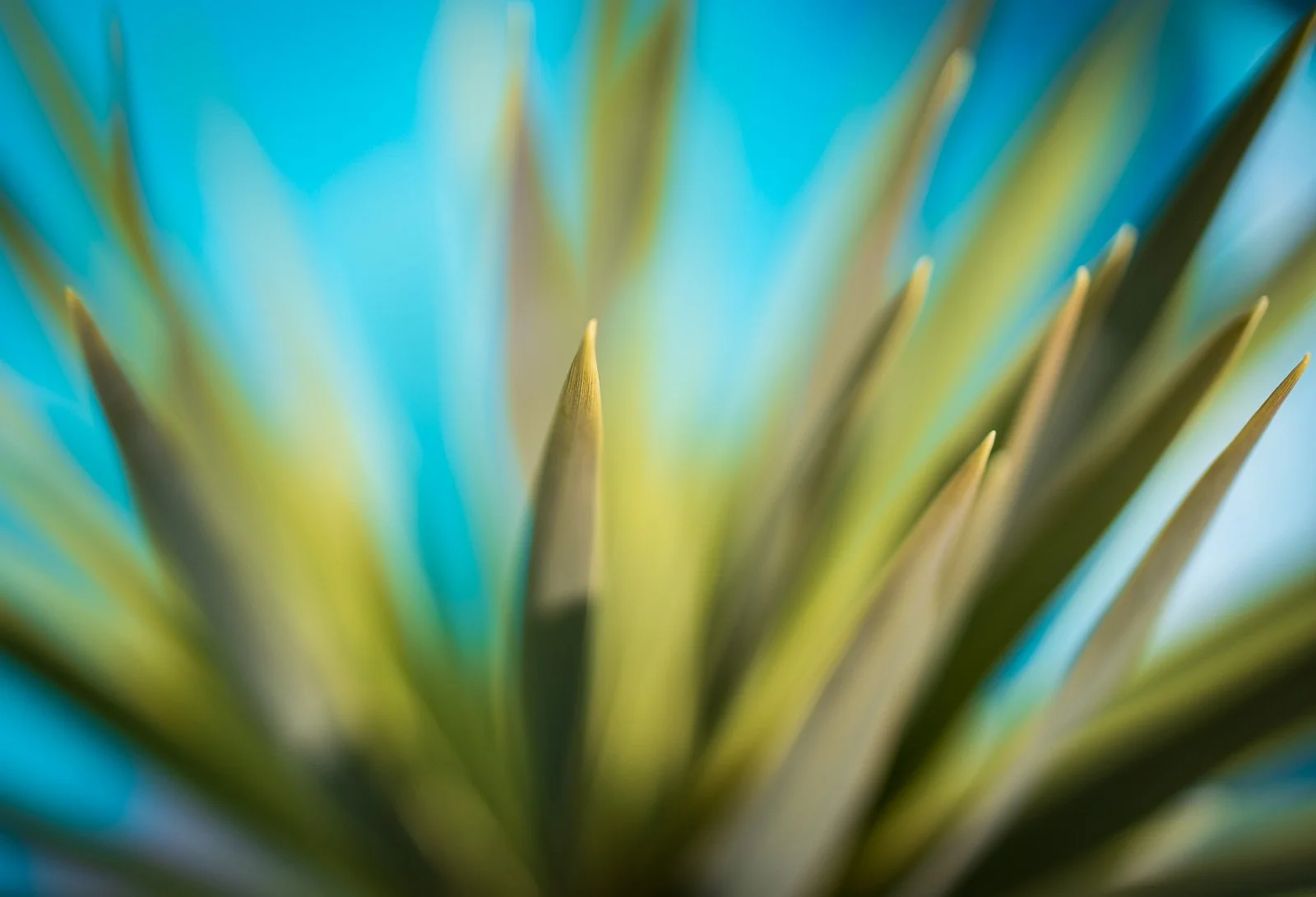 2021_08_19 - LA for Dil's Visit_02397-2.jpg