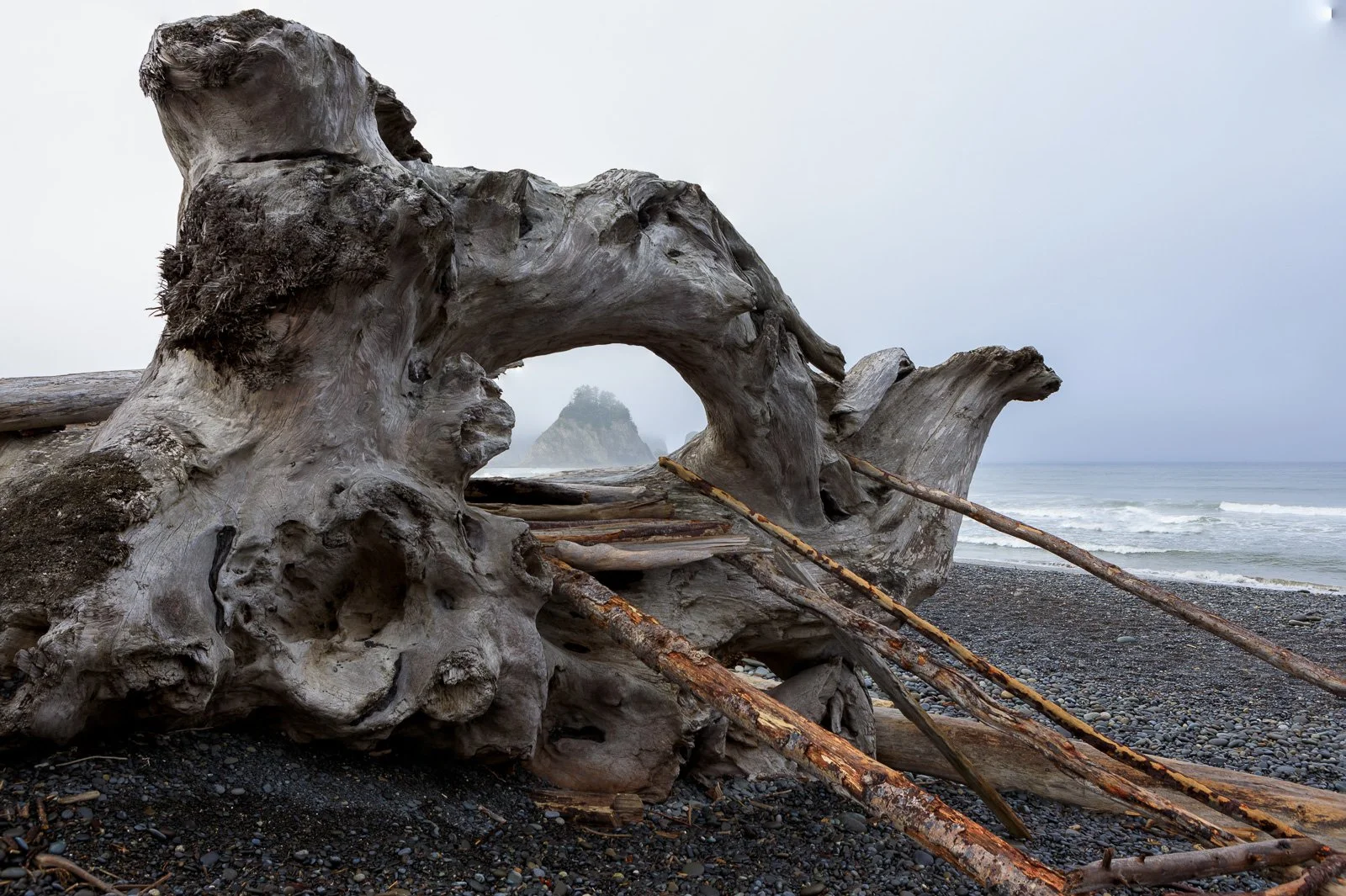 Massive driftwood log frames a sea stack through a natural arch on a misty beach, capturing the raw textures of the Olympic Coast