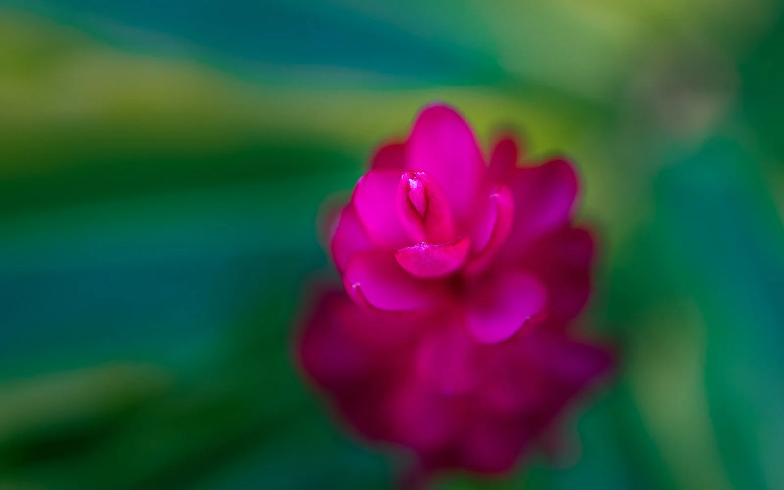 2021_05_08 - Kauai Vacation_00107-2.jpg