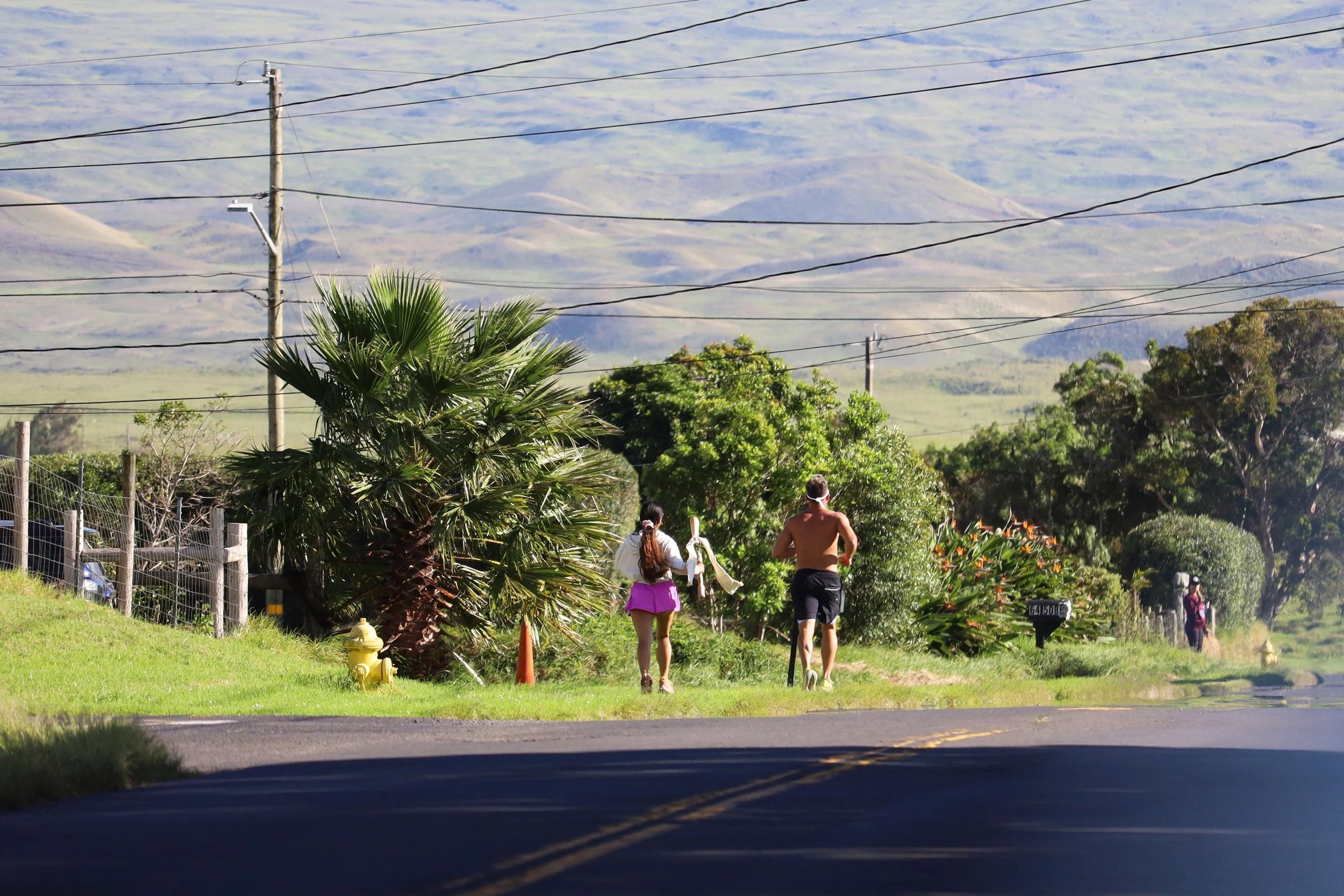 lono run545.jpg