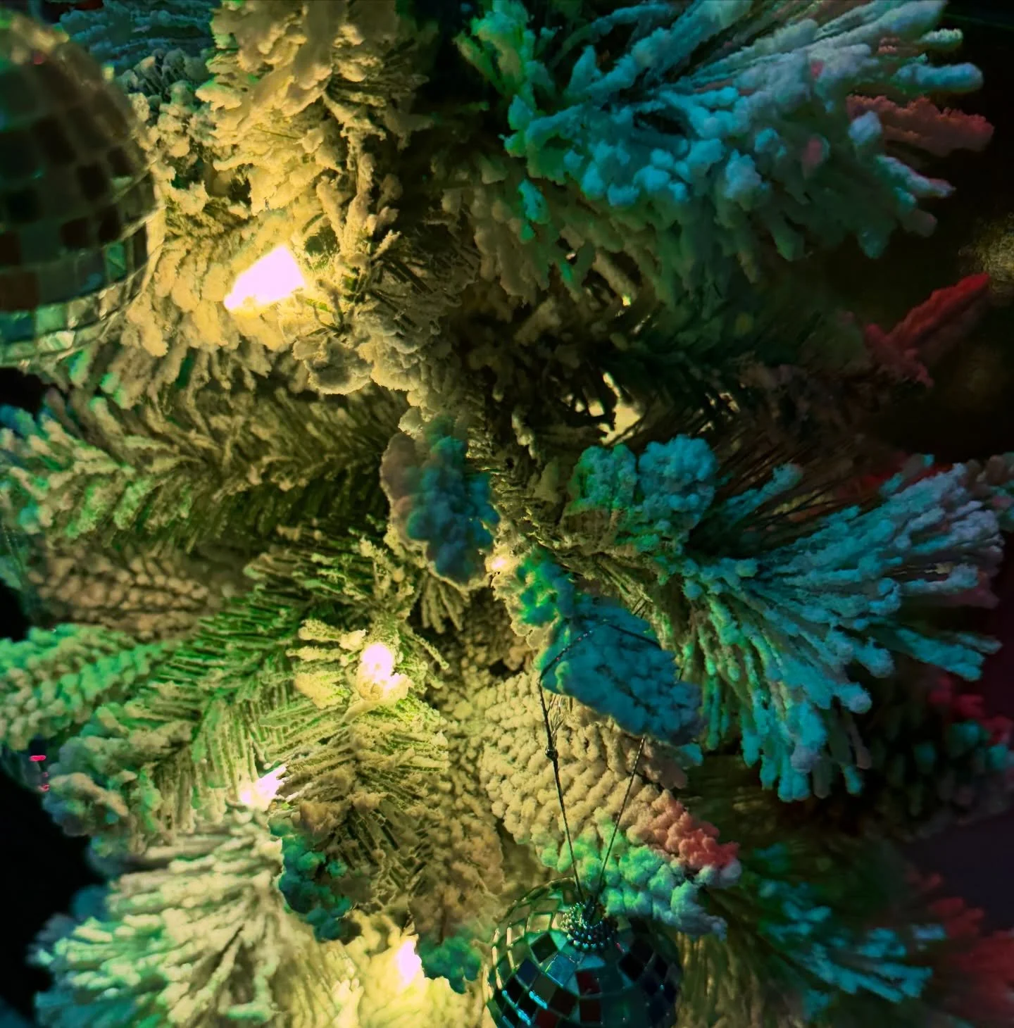 **December 1st. Fresh start. New month.**

The holiday season is here with all its beauty &amp; busyness. Between the celebrations, the to-do lists, &amp; the emotions this time of year can bring&mdash;joy, nostalgia, sometimes grief&mdash;it&rsquo;s