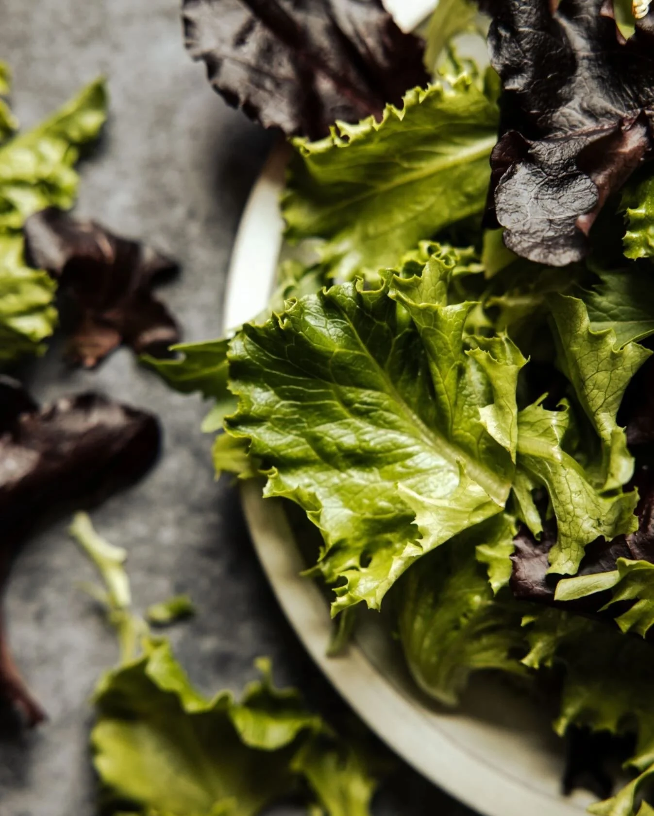 Check out our Wellness Guide on our Blog!