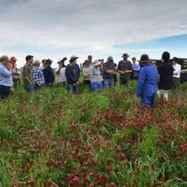 Quorum Sense to grow support network throughout NZ. Press release, Jun 2020.