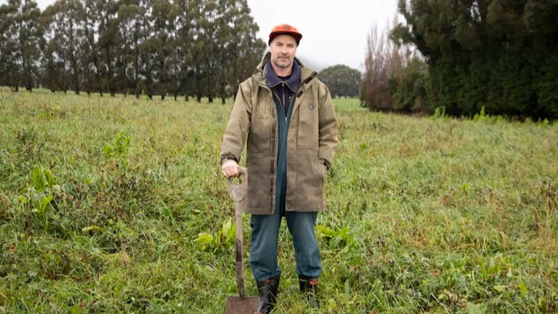 Whole system change works for Clinton dairy farmer. Farmers Weekly, Jun 2025