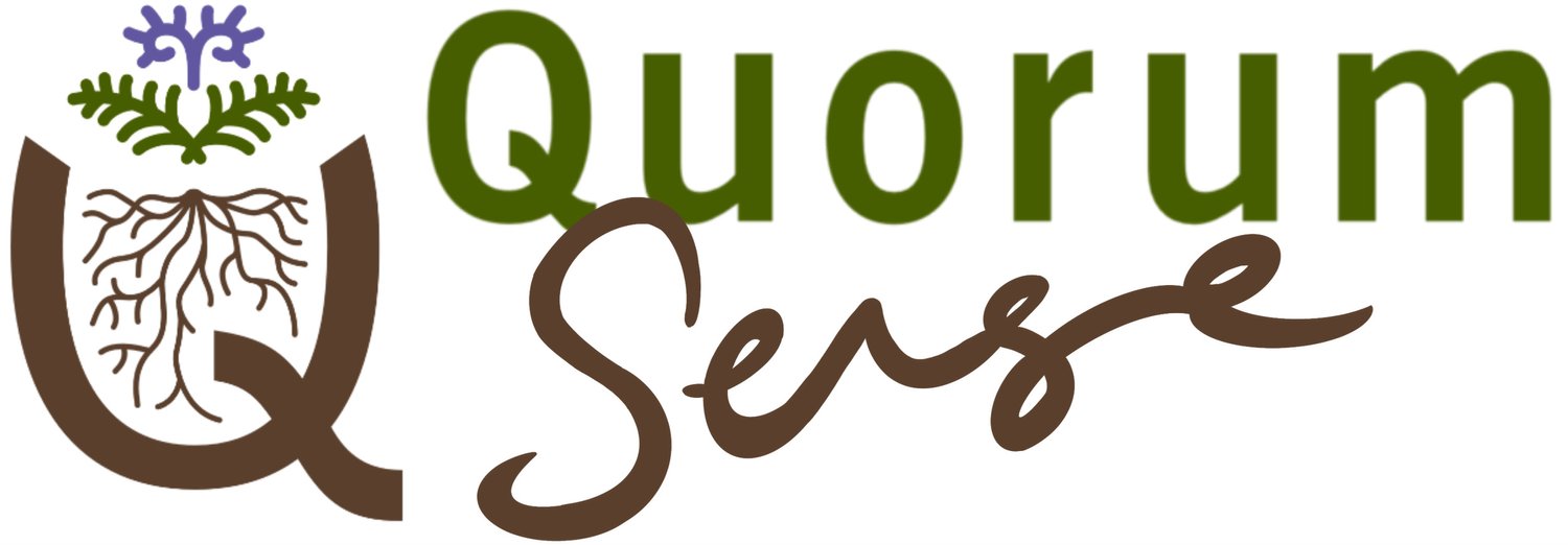 Quorum Sense