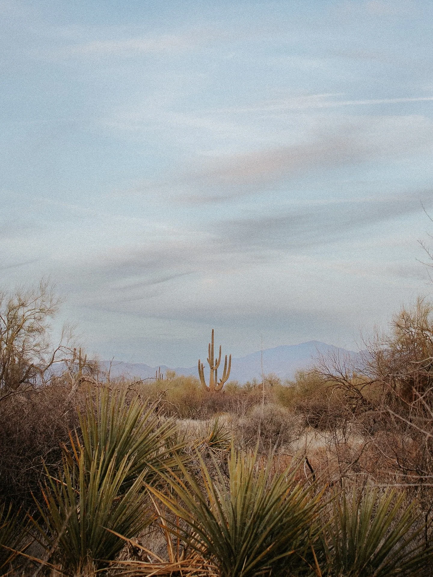 Busy season is officially here, and my heart couldn&rsquo;t be more full. Next month I&rsquo;ll be in beautiful Santa Barbara to celebrate these two sweet souls 🤍 Until then, I&rsquo;m still dreaming about the magic of their engagement session &mdas