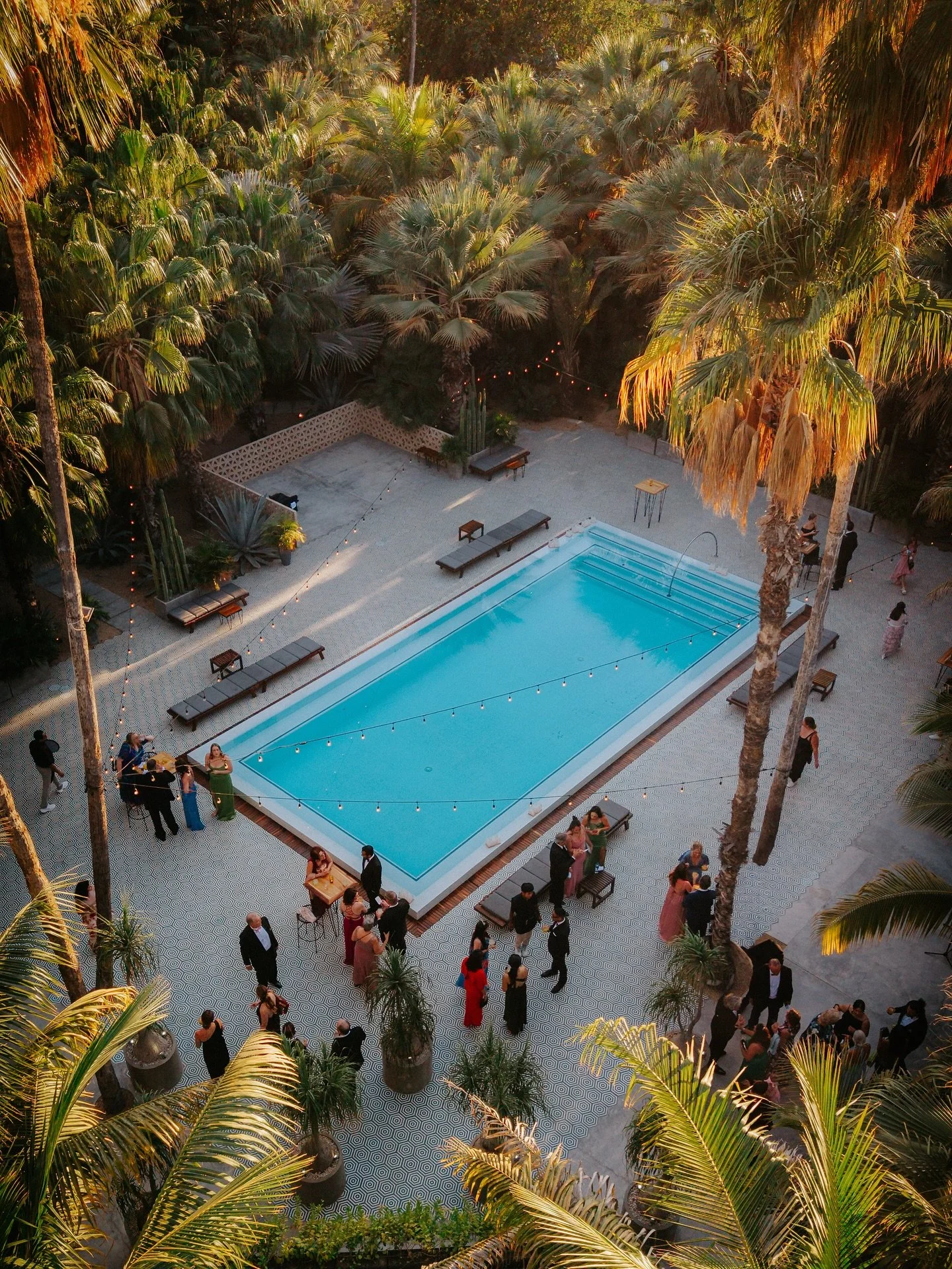 Cocktail hour of dreams&hellip; 
Mezcal tasting experience, grill, golden hour gleaming through palm trees, live music&hellip; 
While we sneak out with the couple for photos&hellip; so much to post from that stunning wedding, stay tuned. 

Photo &amp