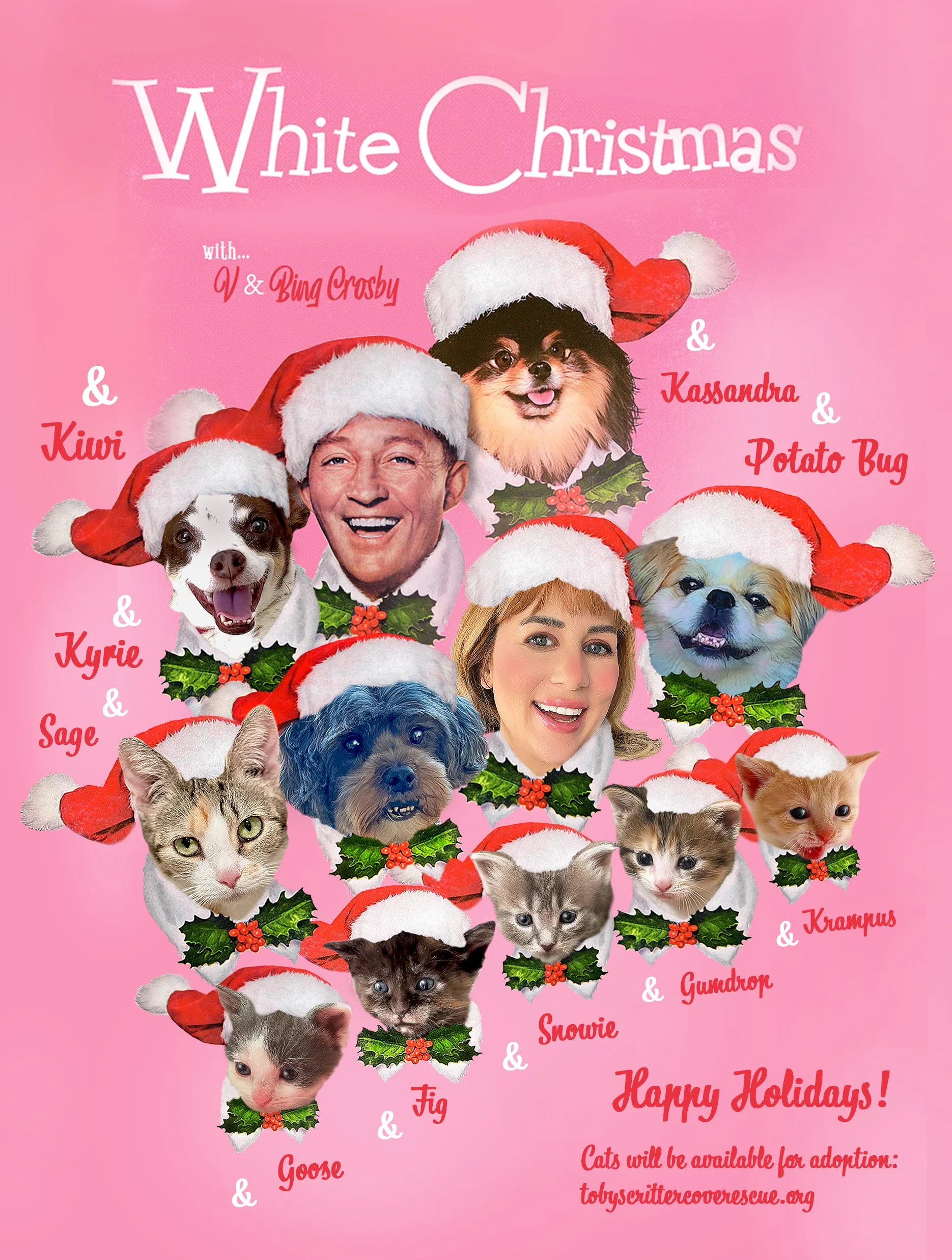 Christmas Photo 2025