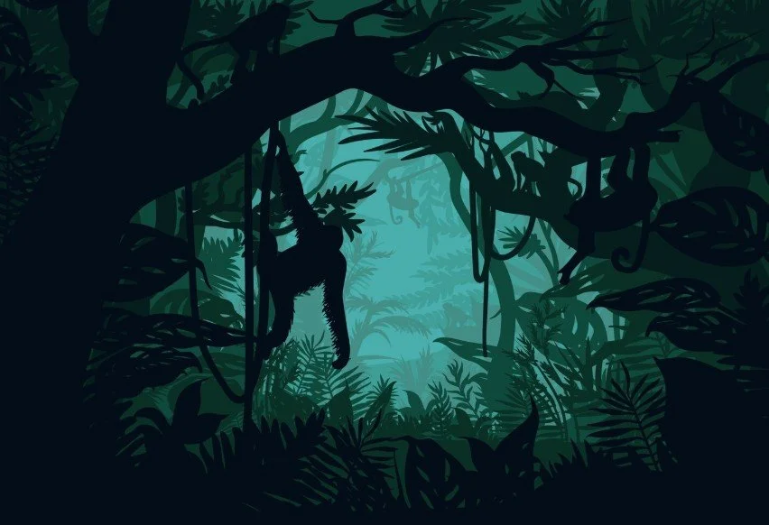 jungle.jpg