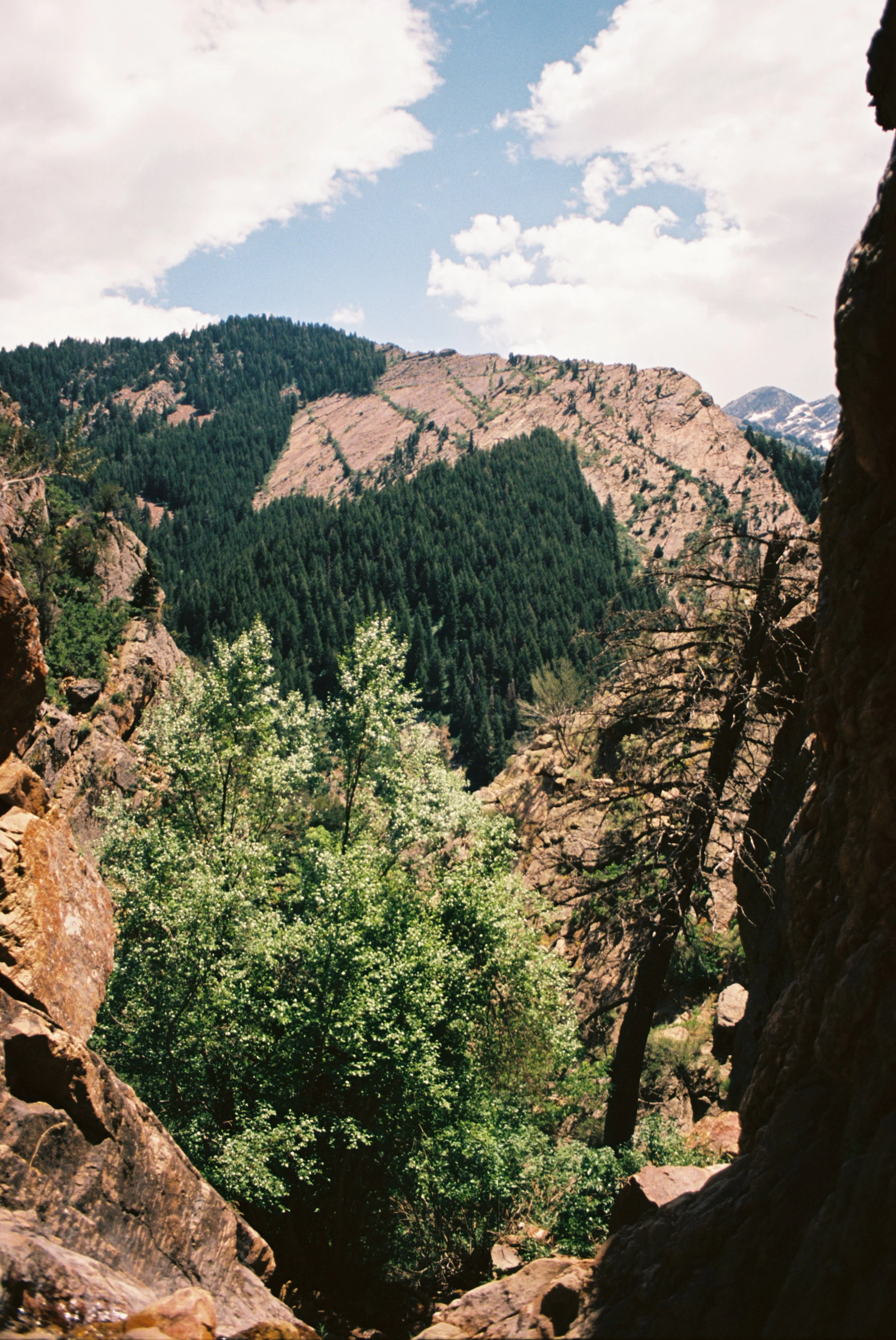 0397585_0397585-R1-054-25A.jpg