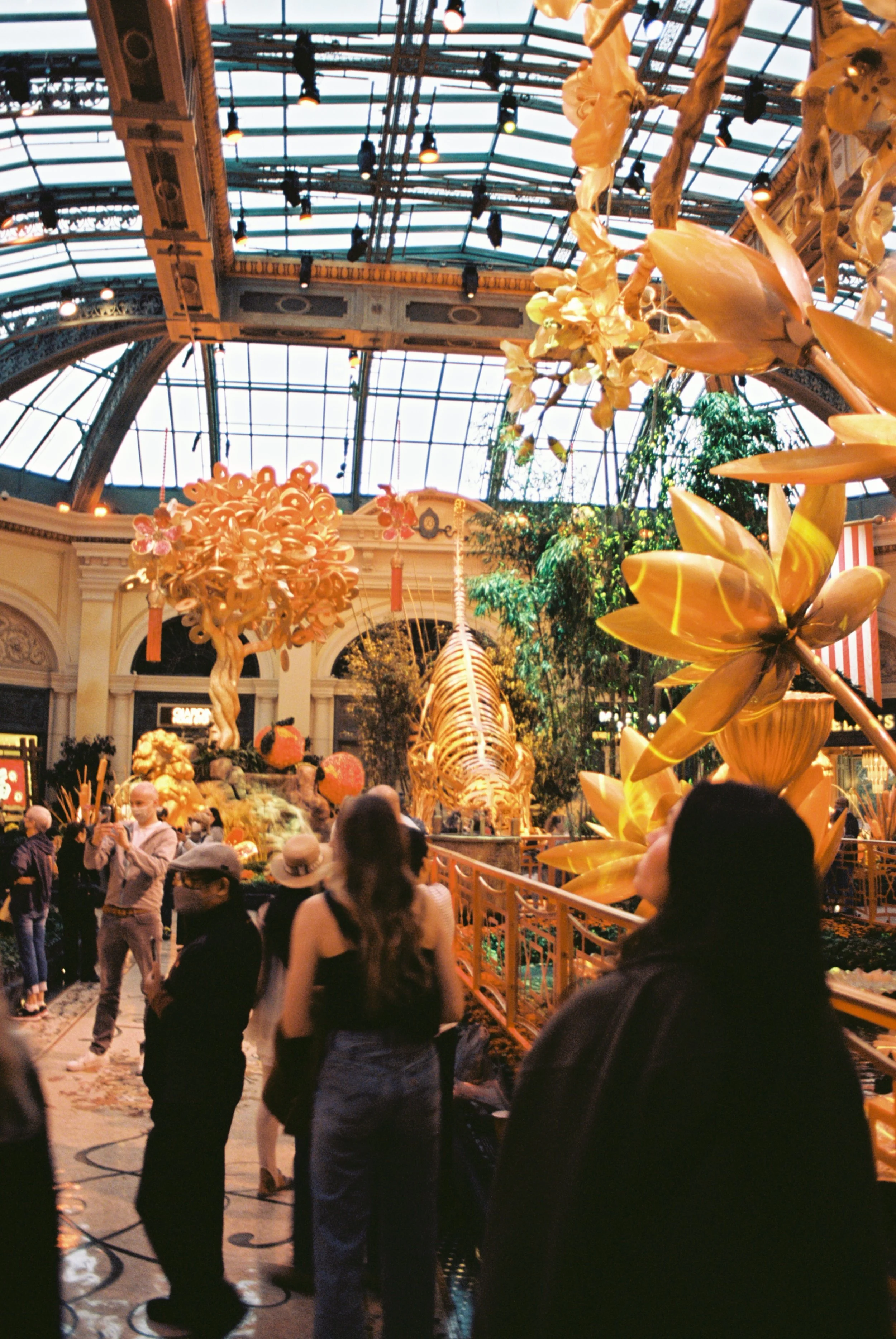 0381596_0381596-R1-012-4A.jpg