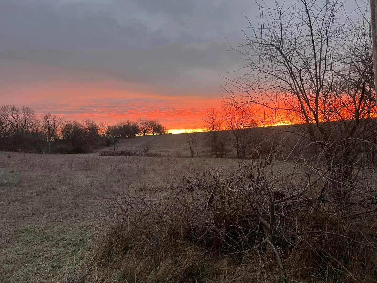 Swapping out this look for the lake for the next few months. 

First report back.  https://jeffnail.uscreen.io/programs/december-1-2025-lake-lanier-fishing-report