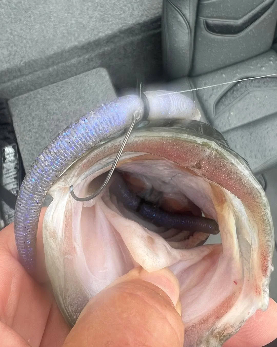 I&rsquo;ve caught fish with someone else&rsquo;s bait left in their mouth, but I believe this is the first time that I have broken off a fish on cast 1 and caught her on the very next cast after retying.  What&rsquo;s interesting is I was 30/40yds fu