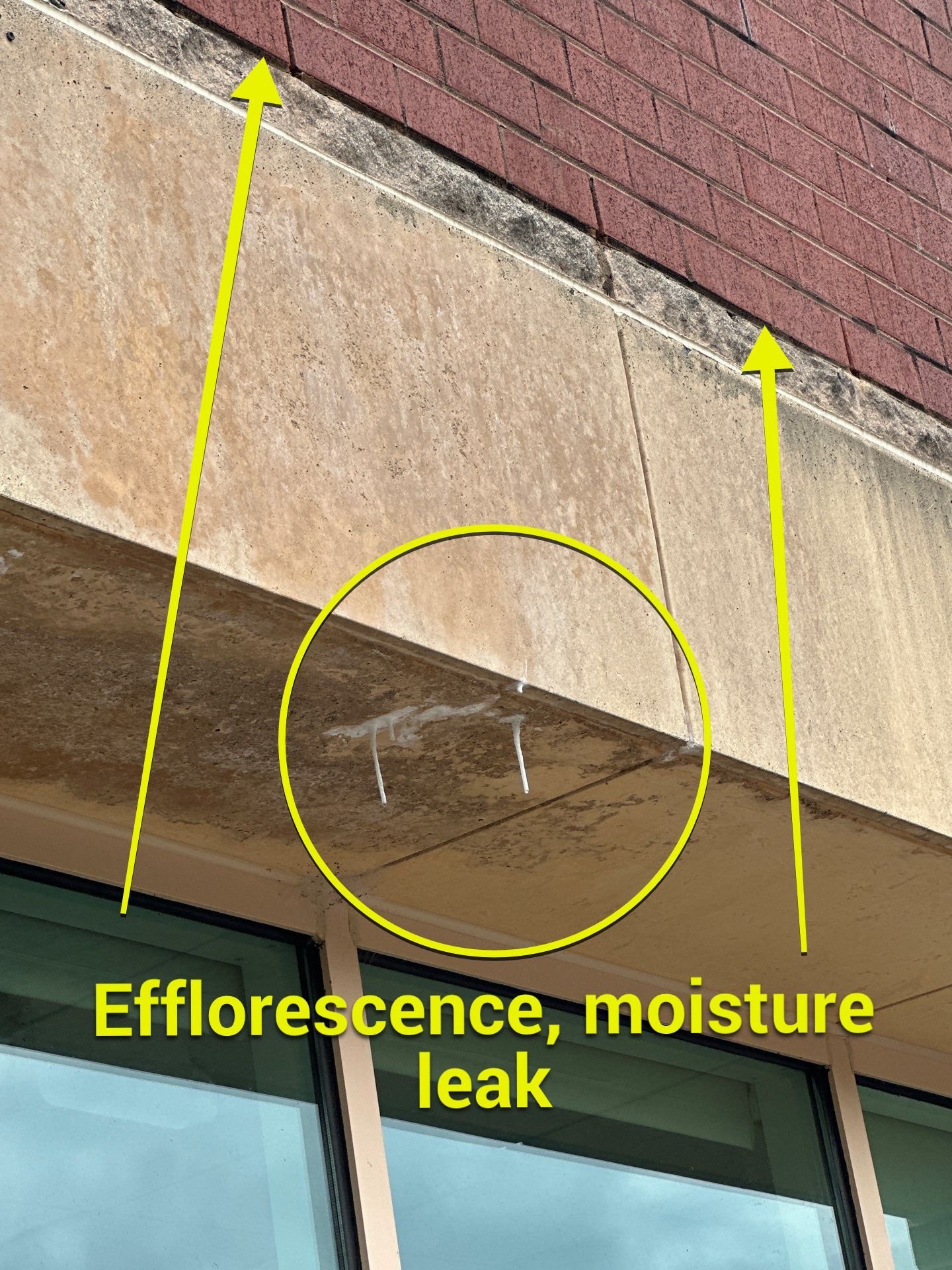 Efflorescence.jpg