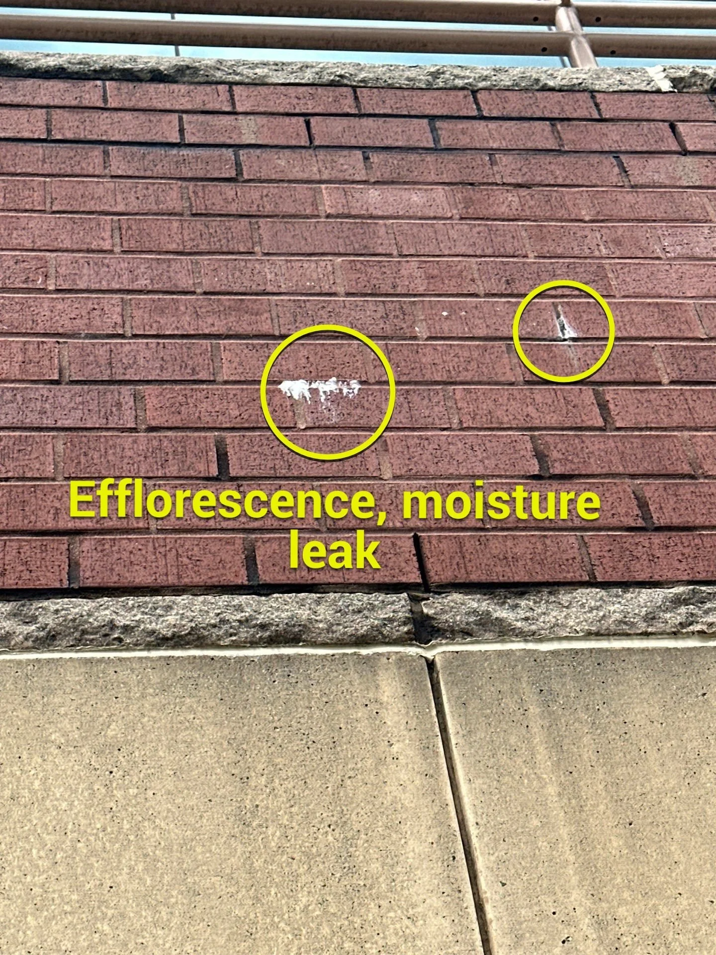 Moisture leads to Efflorescence.jpg