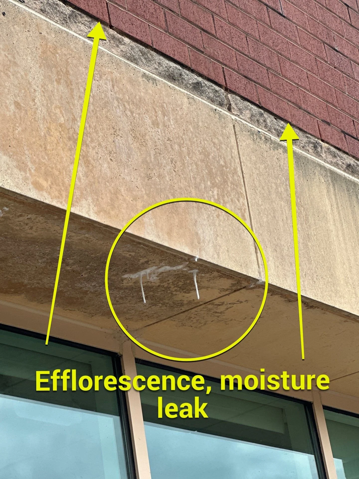 Extreme Efflorescence.jpg