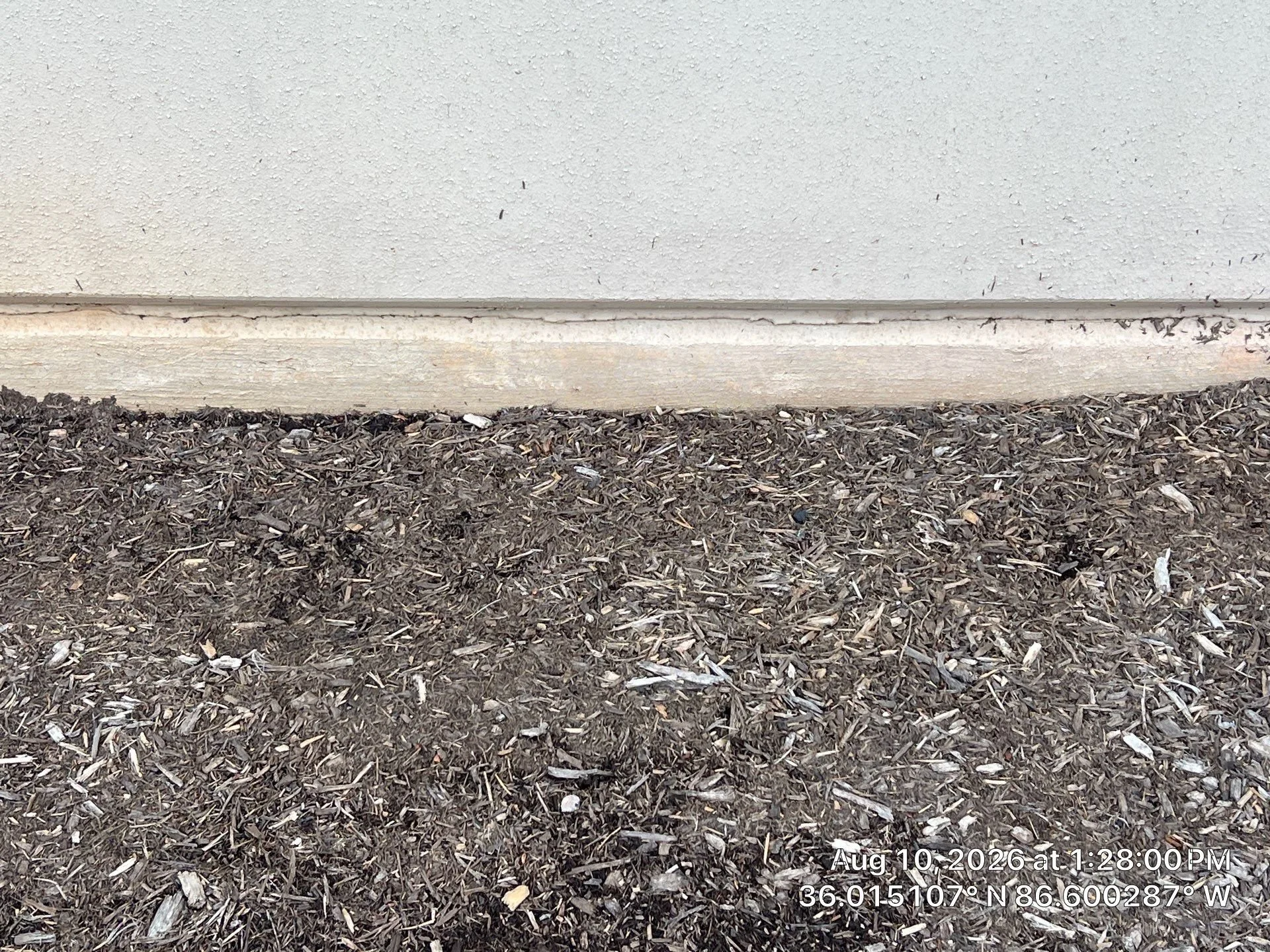 sealant failure at foundation.jpg