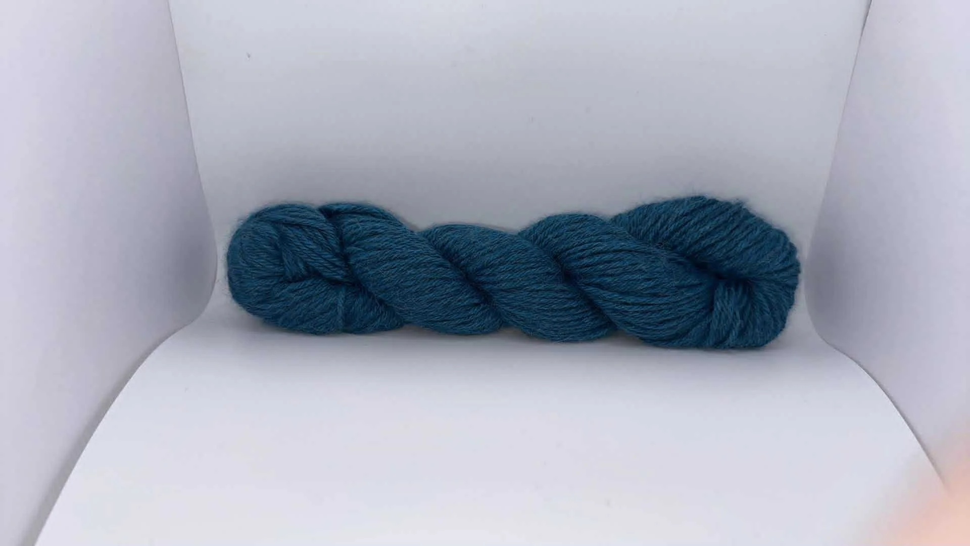 Mirasol Llama Una 8234.jpg