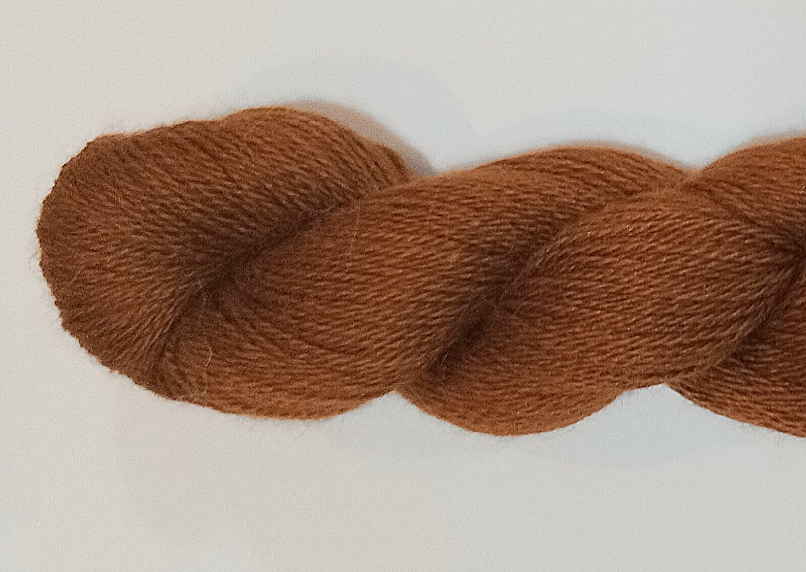 AmanoAynicherrytree5025.jpg