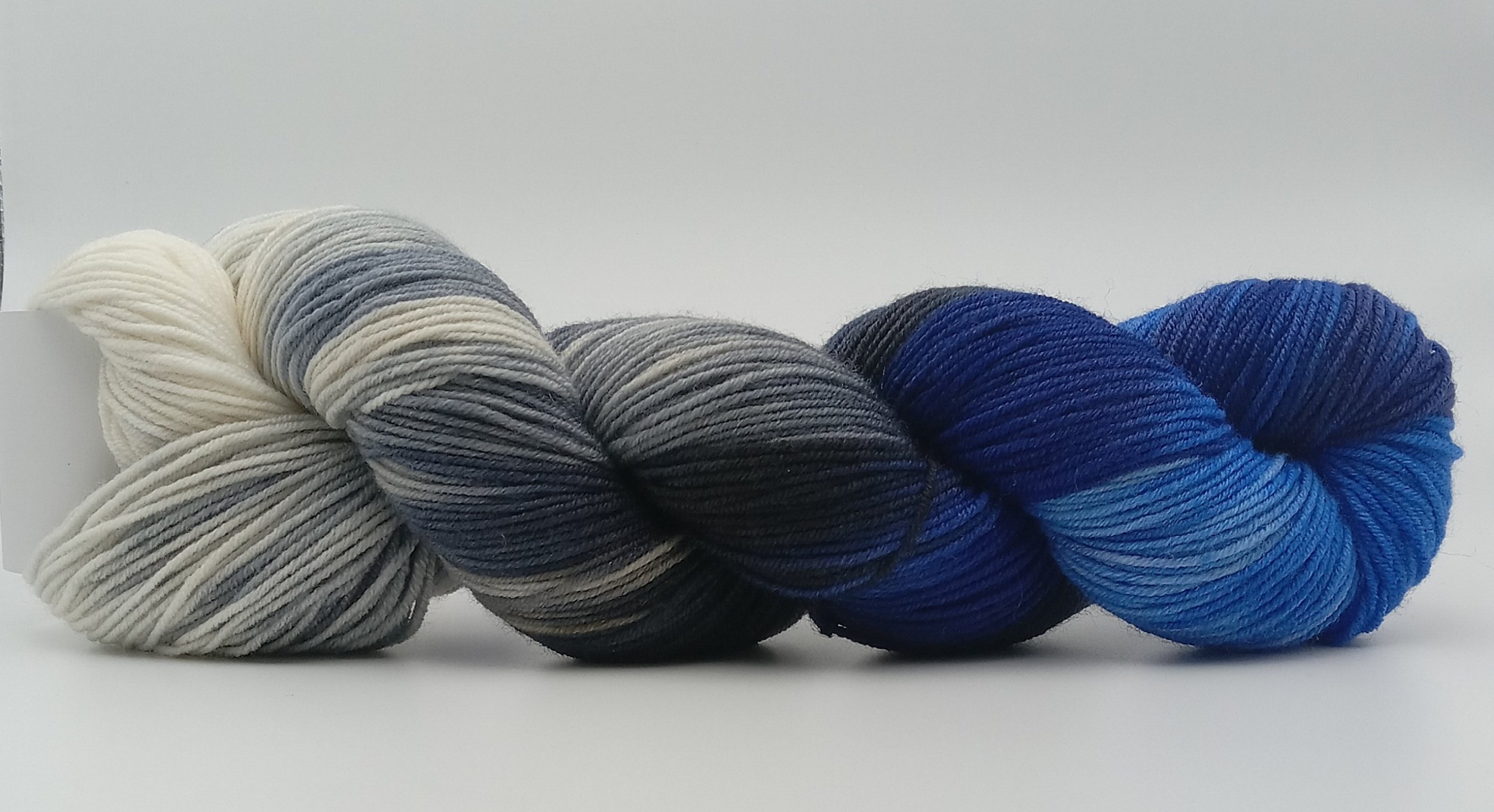 processed_BlueJay.jpg