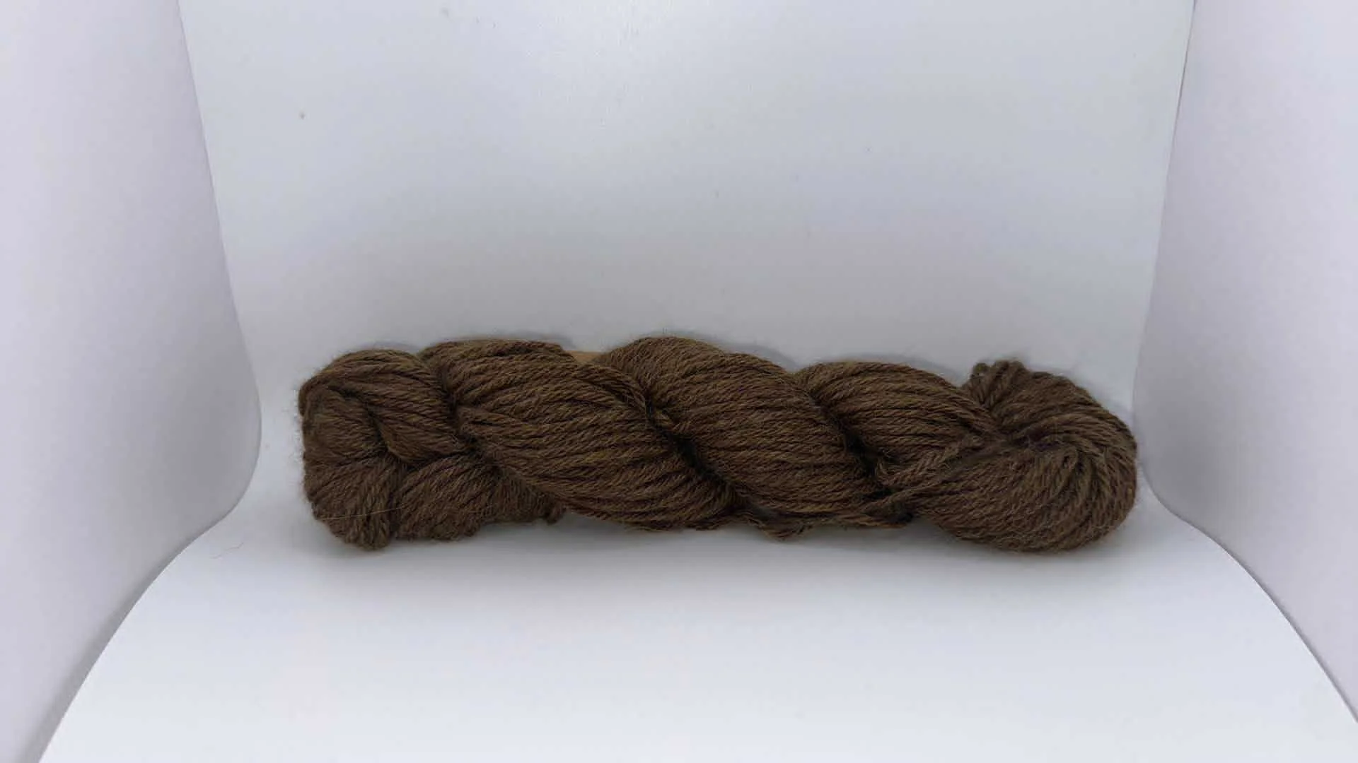 Mirasol Llama Una 8205.jpg