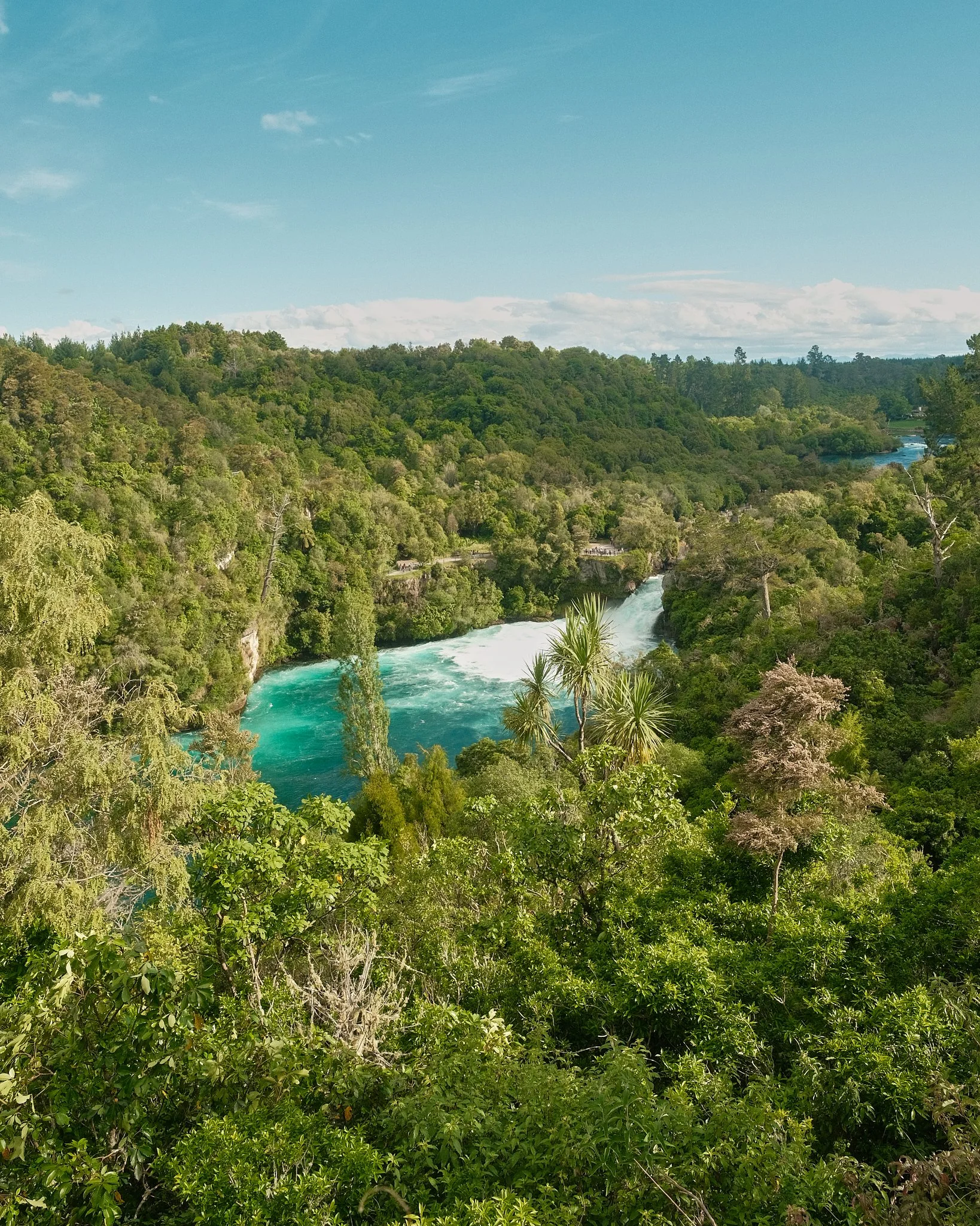 478-New Zealand-23-12-25-HQ.jpg