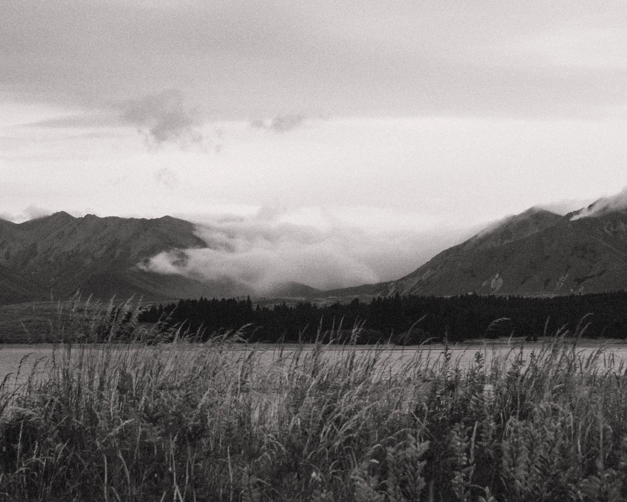 447-New Zealand-23-12-23-HQ.jpg