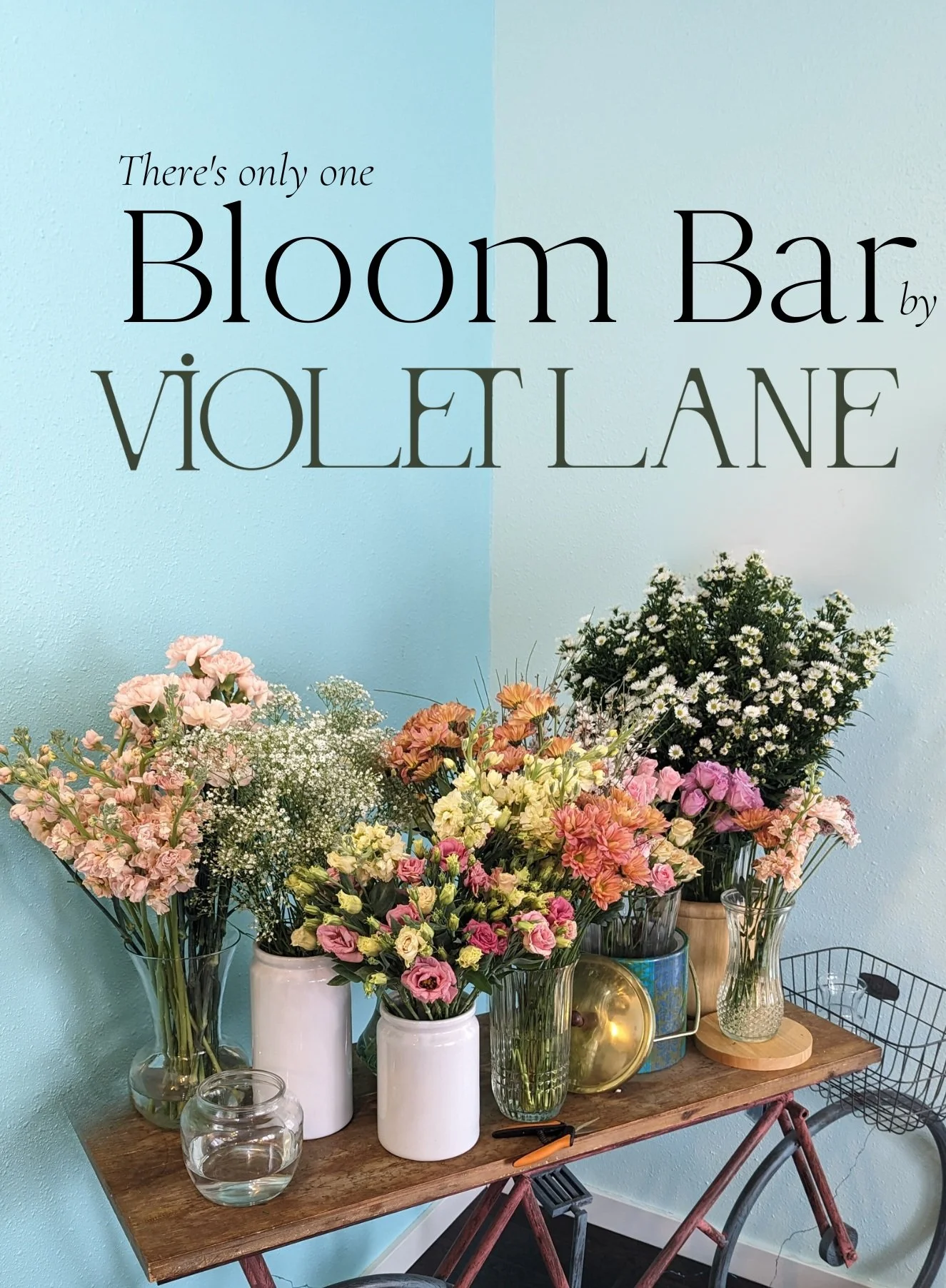 Violet Lane Artful Botanicals For The Wildly Curious violet-lane-artful-botanicals-for-the-wildly-curious