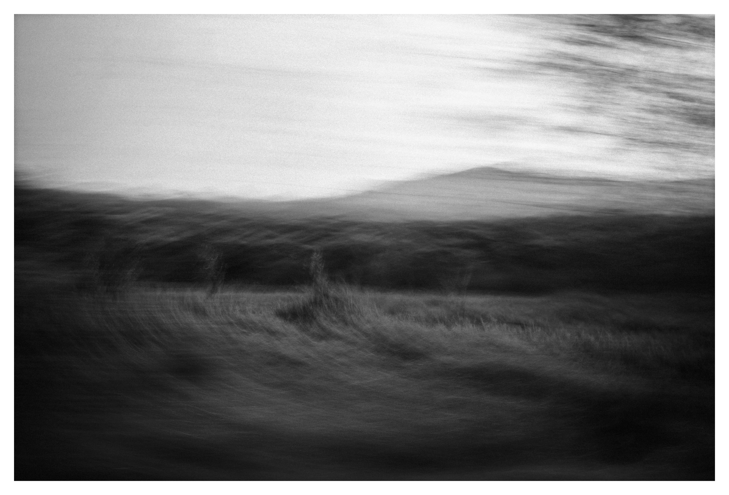DSCF6739 copy.jpg