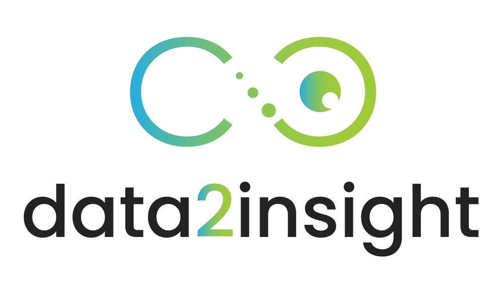 data2insight