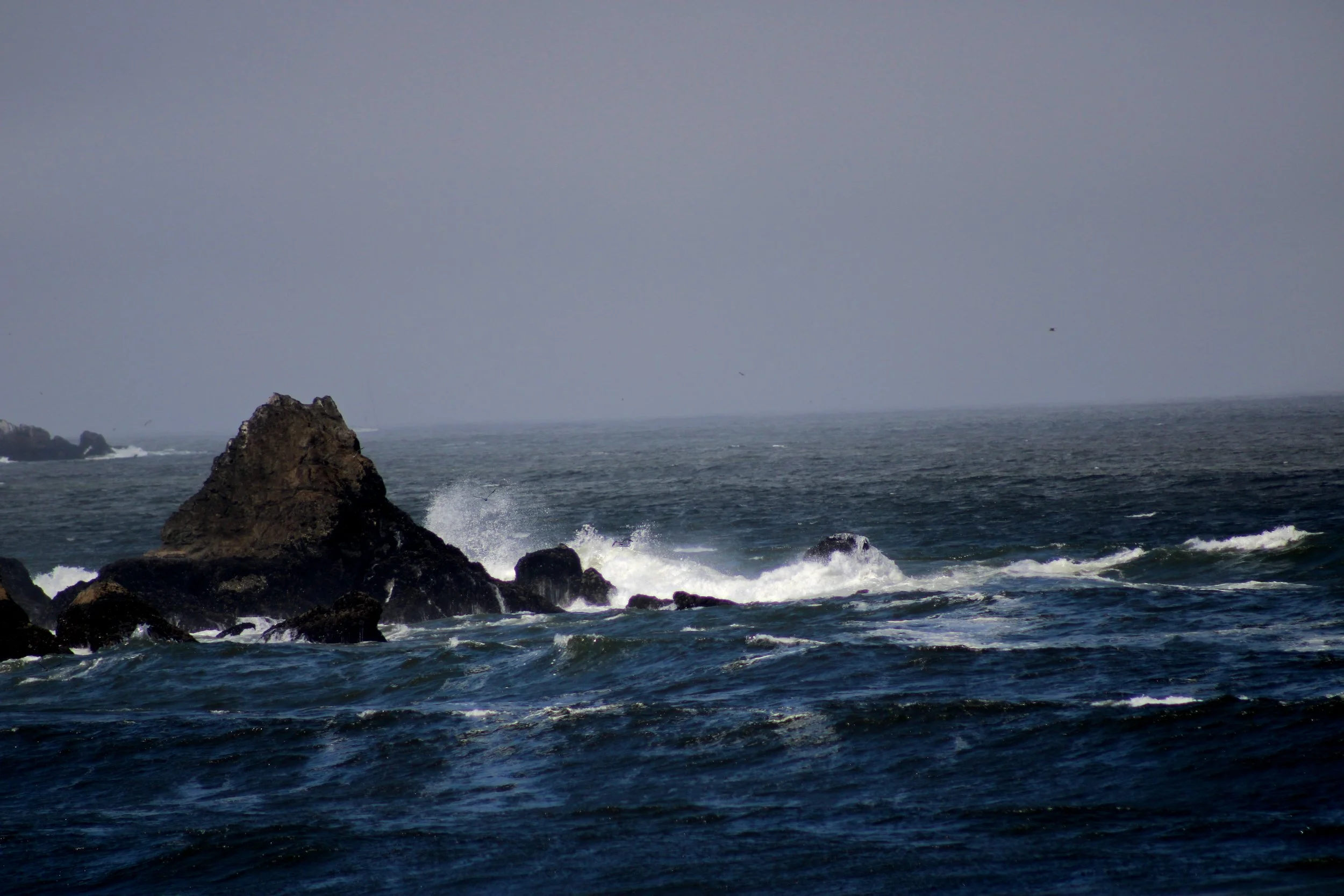 IMG_1611.jpg