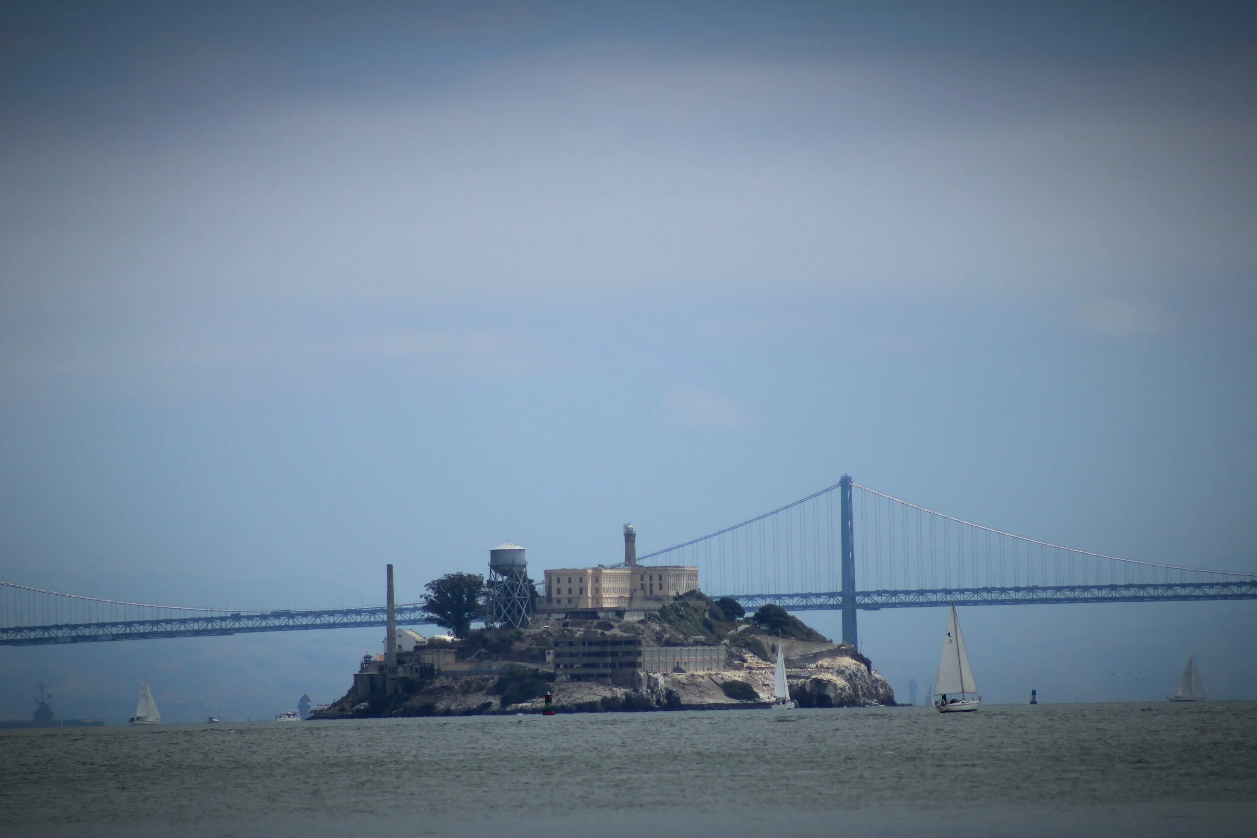 IMG_1866.jpg