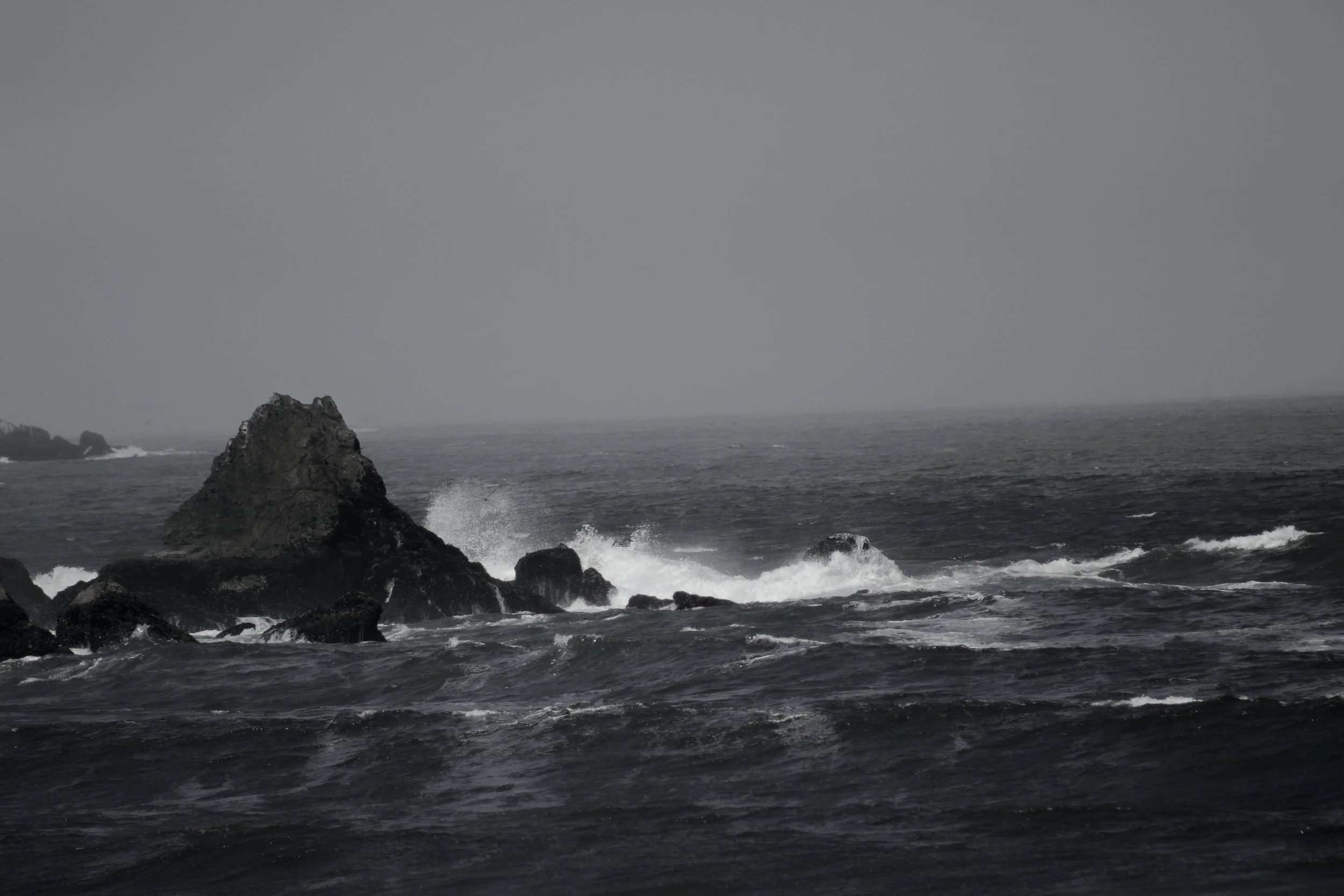 B&W Pacifica.jpg