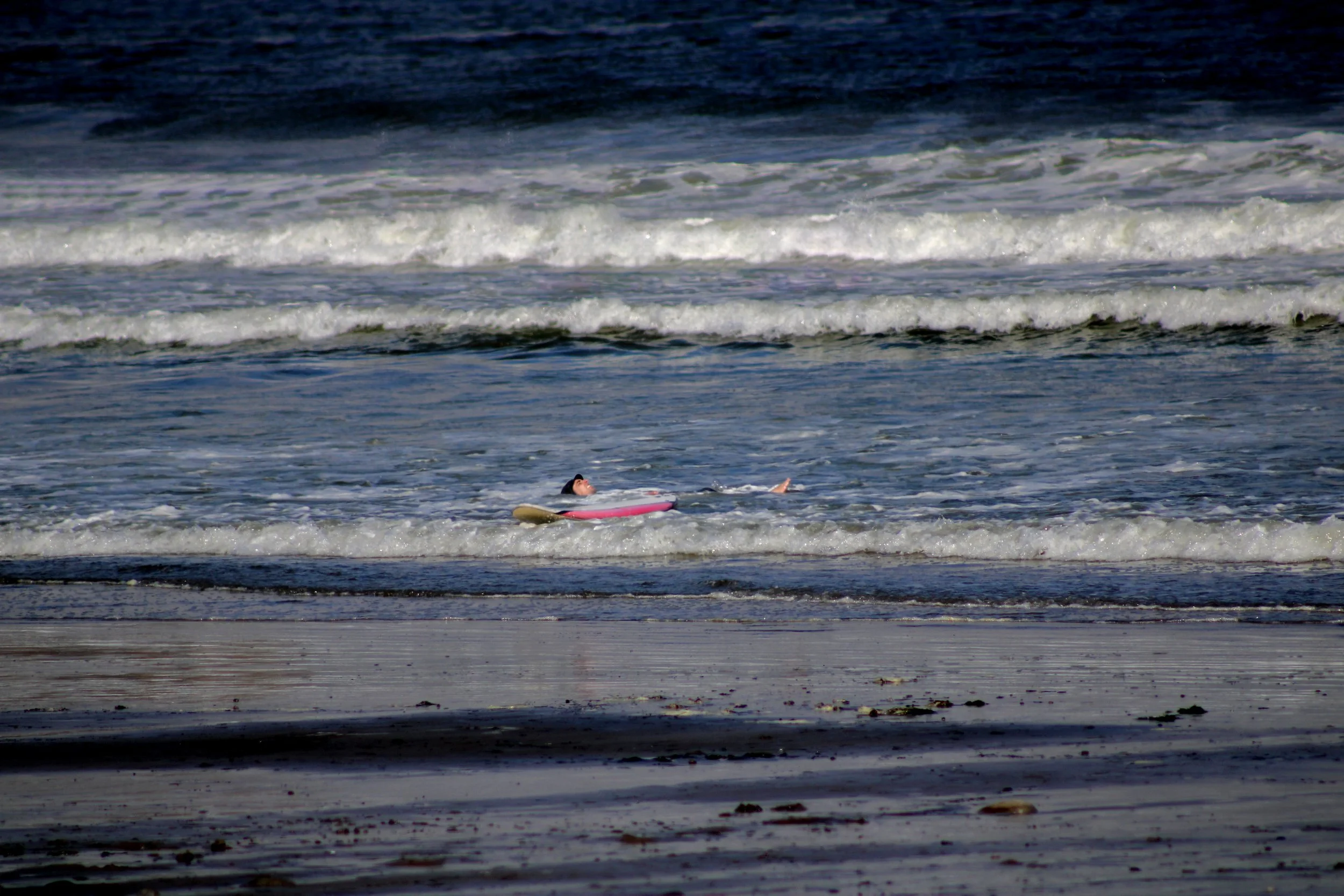 IMG_1569.jpg