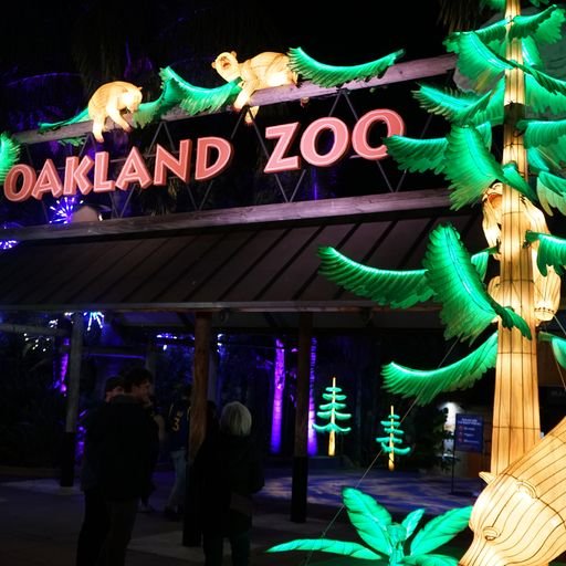 Oakland Zoo’s “Glowfari” Is a Wildly Illuminating Lantern Festival!