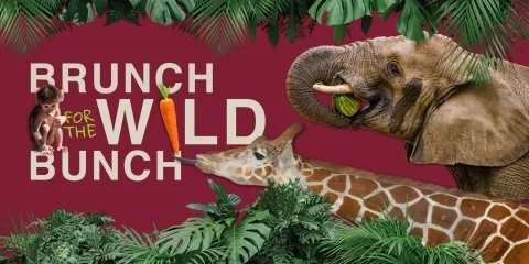 Oakland Zoo Announces Upcoming Spring Events
