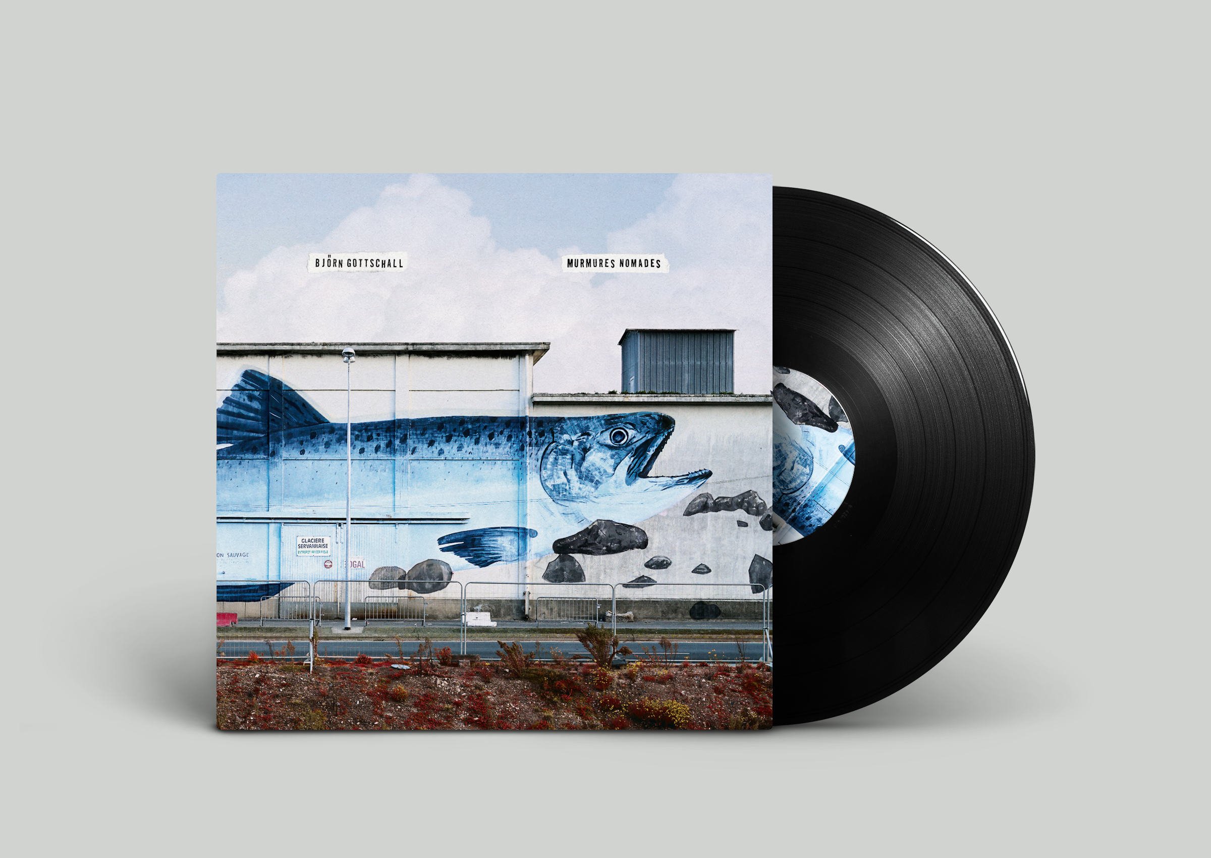 Zeitgeist Vinyl - direct sale outdoors
