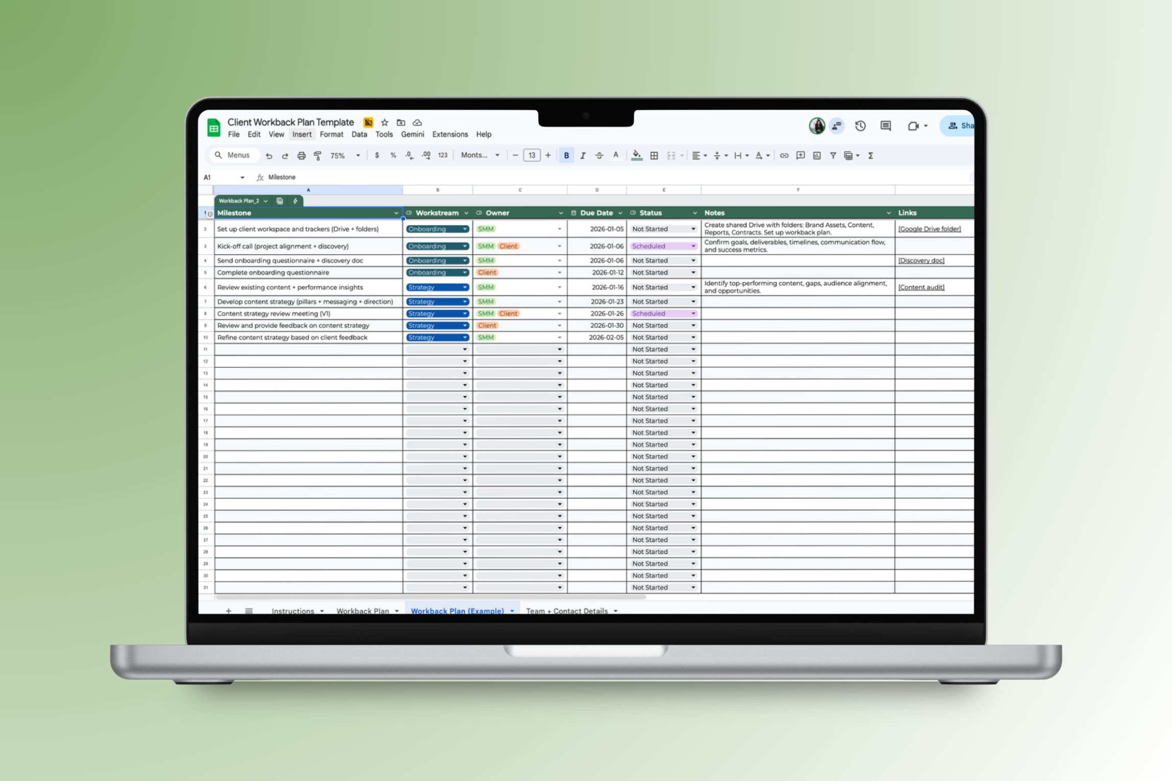 Client Workback Plan Template