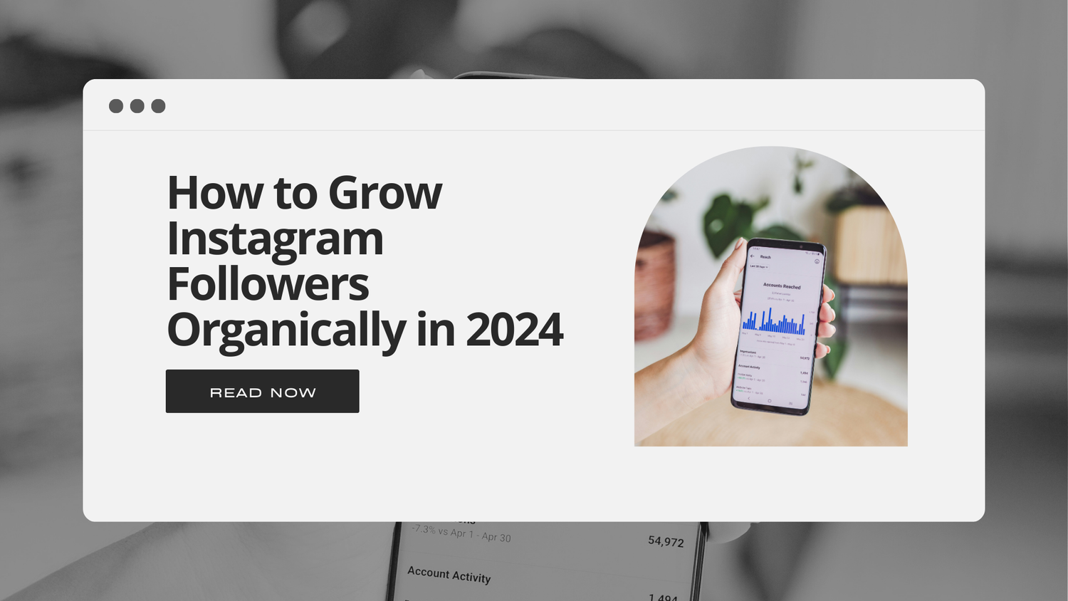 How to Grow Instagram Followers Organically in 2024 — High Season Co.